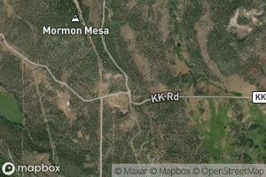 Mormon Mesa Ditch