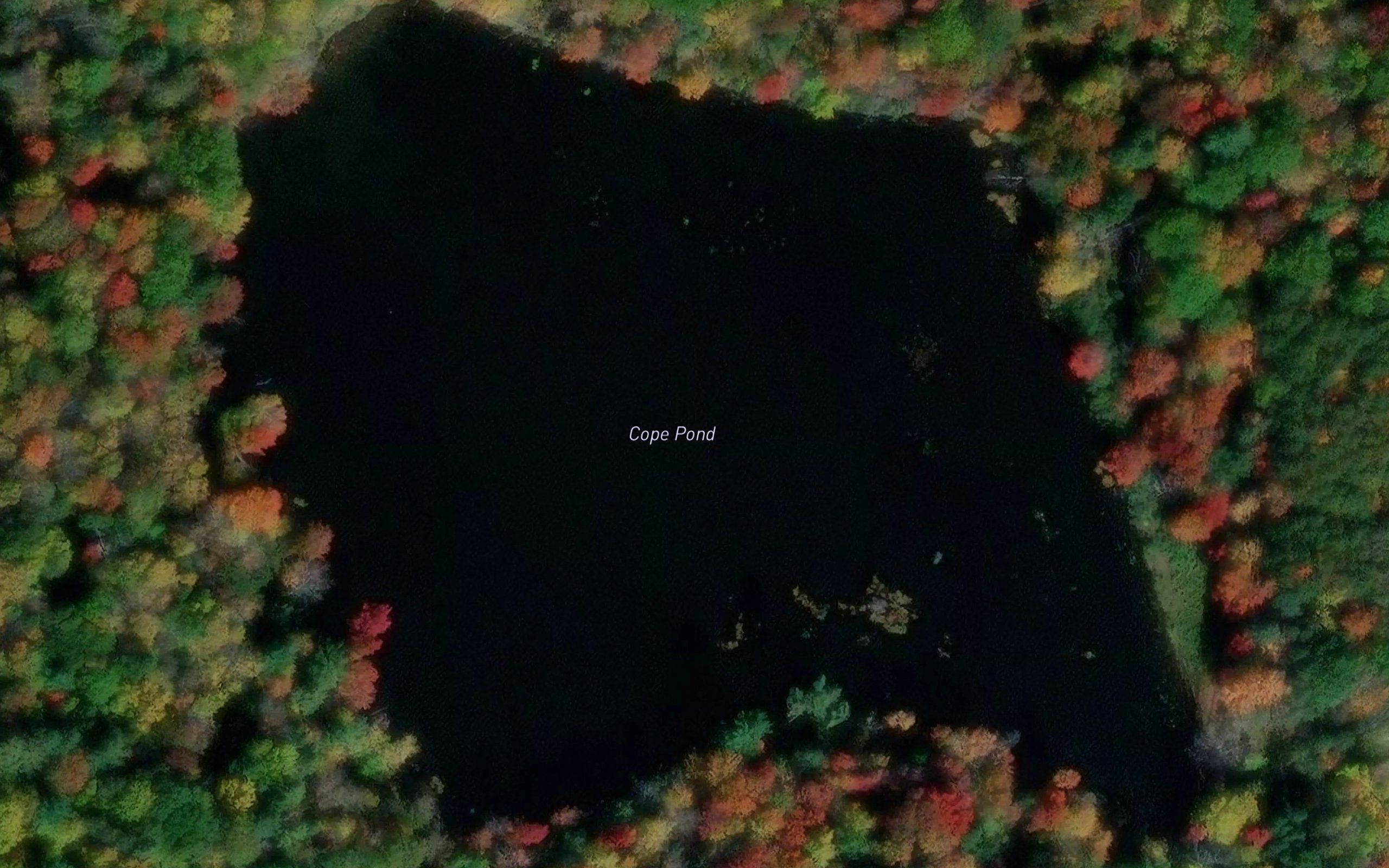 Cope Pond