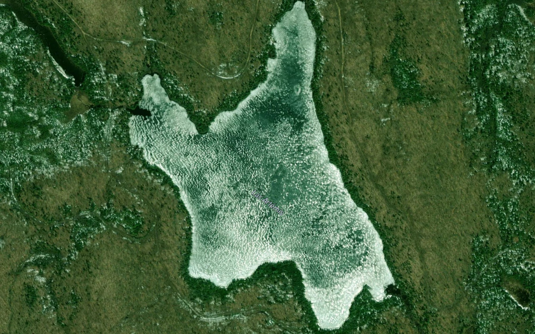 Satellite map of the Lac Artemis