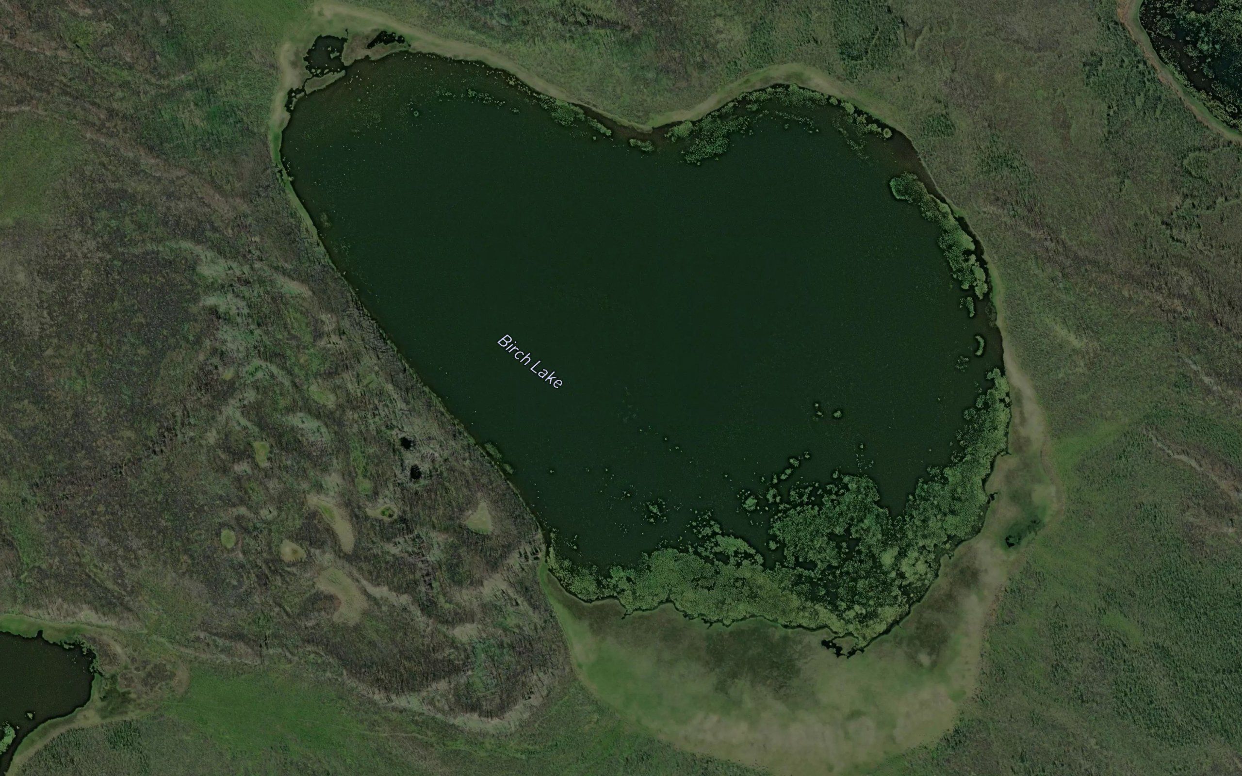 Birch Lake