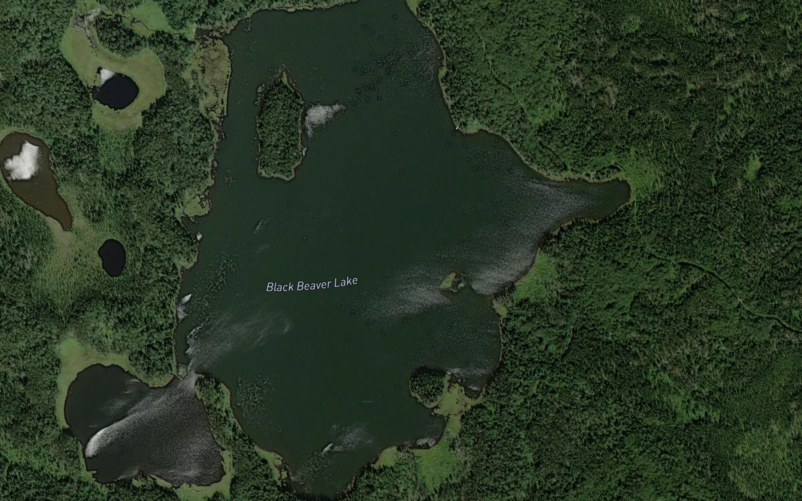 Black Beaver Lake