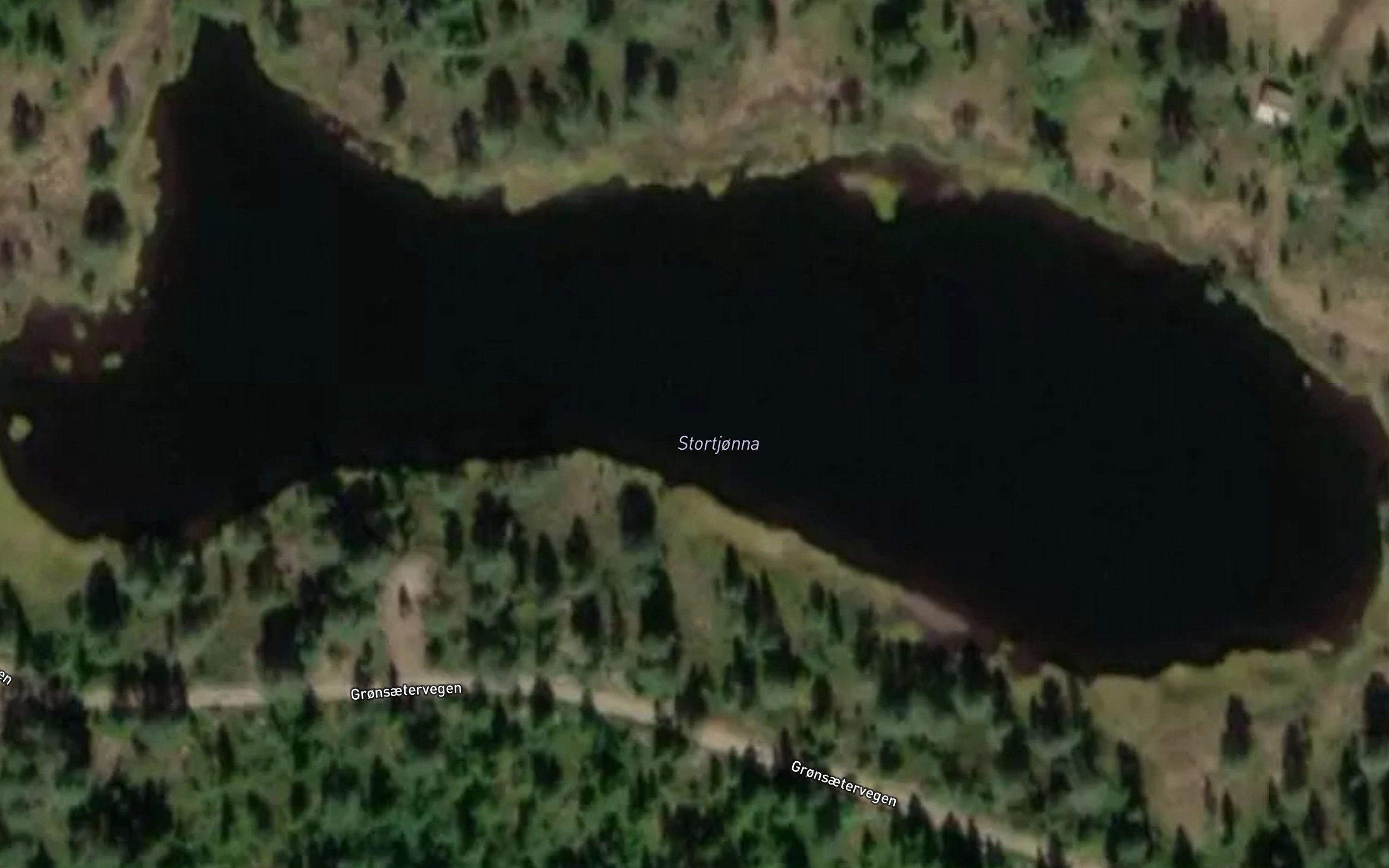 Stortjorna