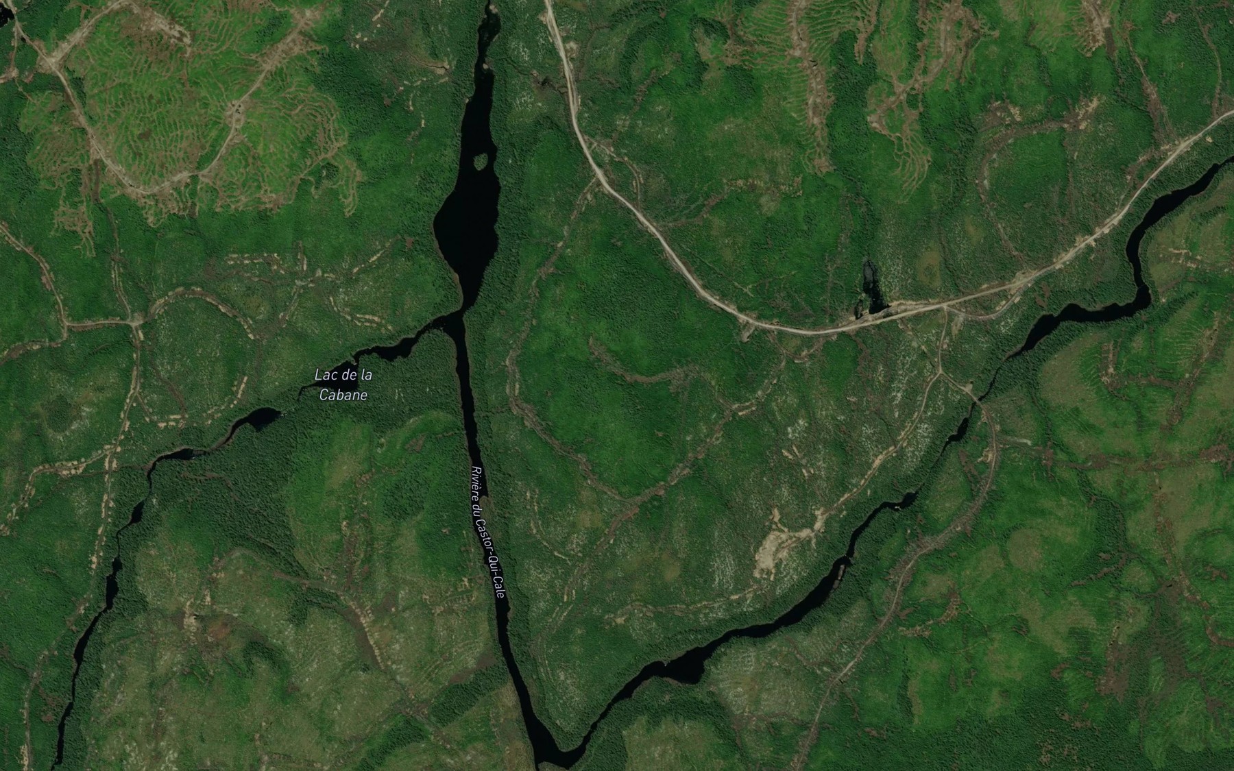Satellite map of the Lac de la Cabane