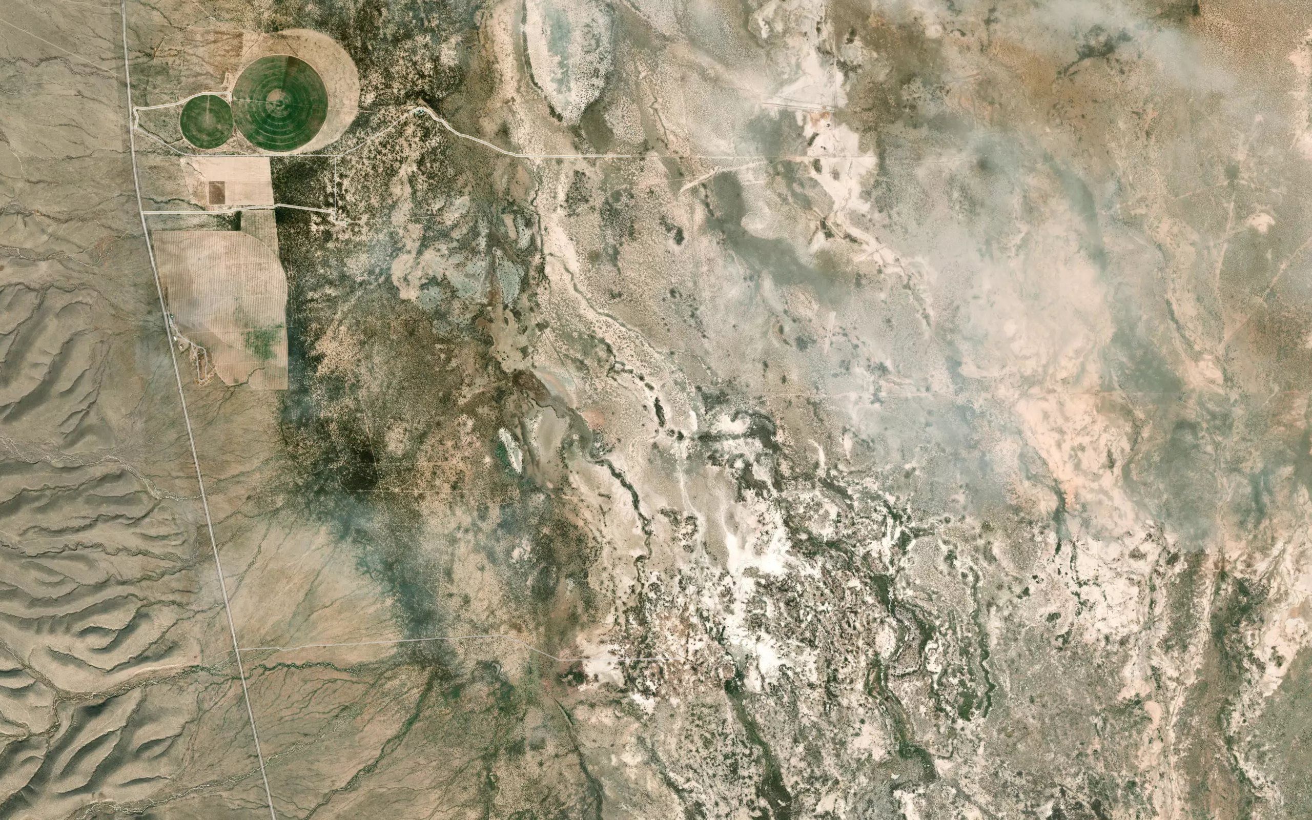 Laguna de los Palos