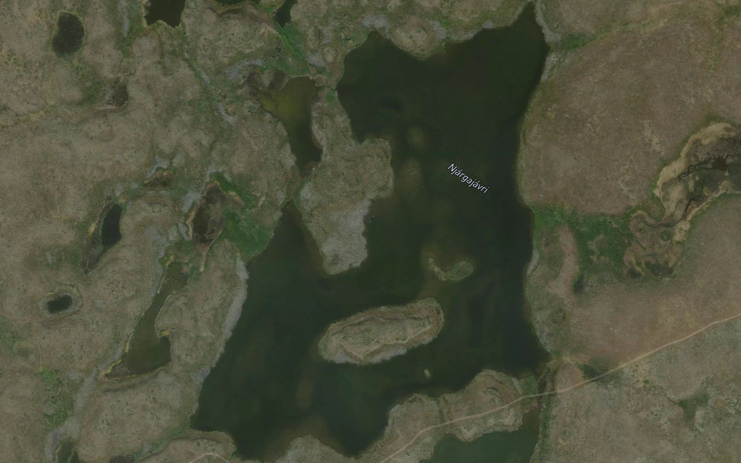 Njargajavri