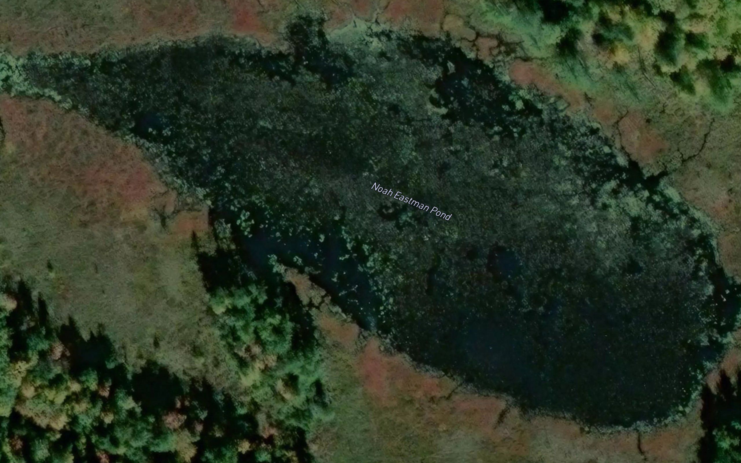Noah Eastman Pond