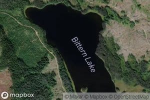 Bittern Lake