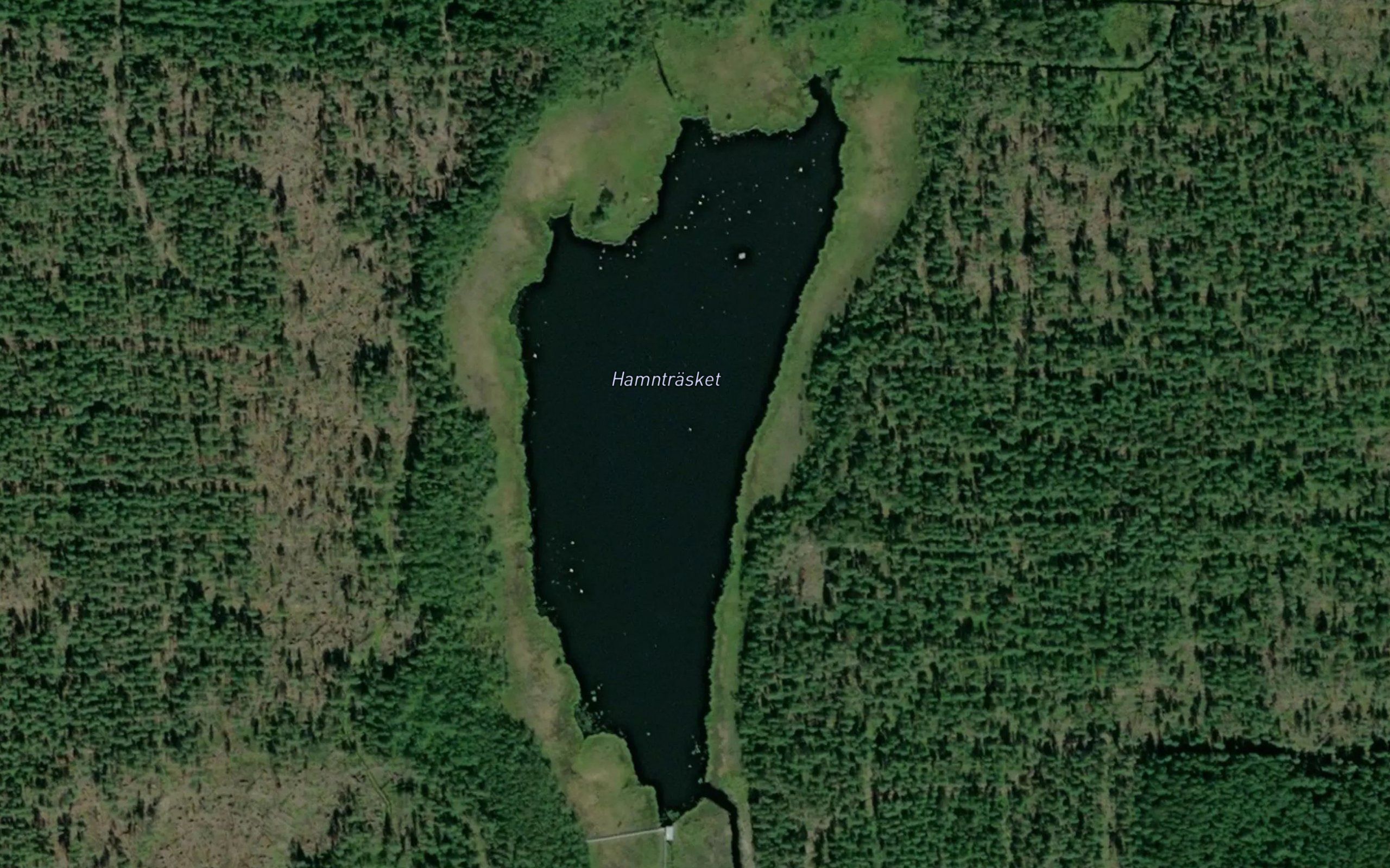 Hamntrasket