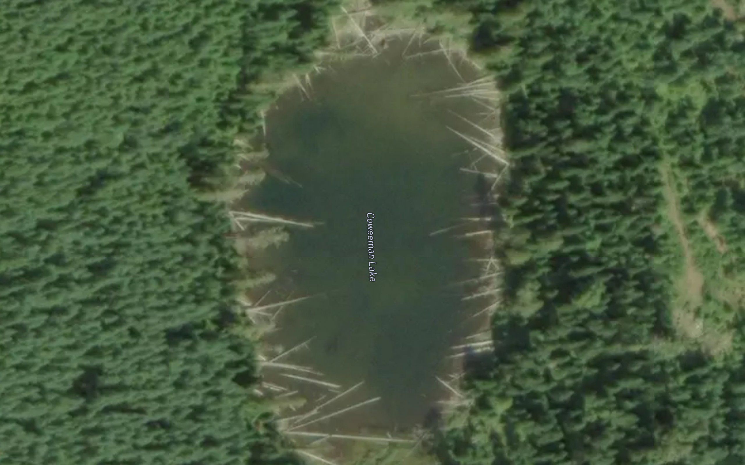 Coweeman Lake
