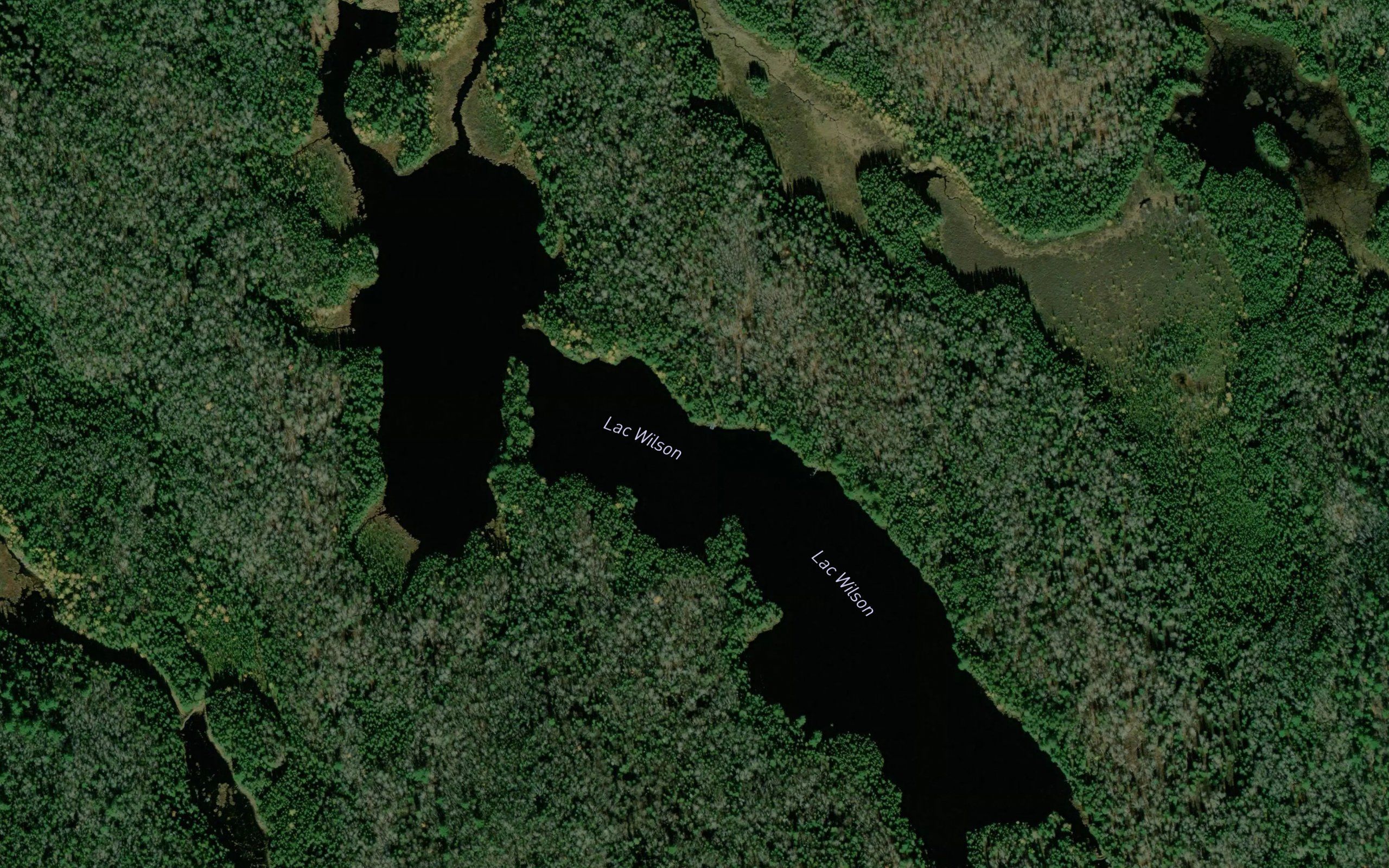 Lac Wilson
