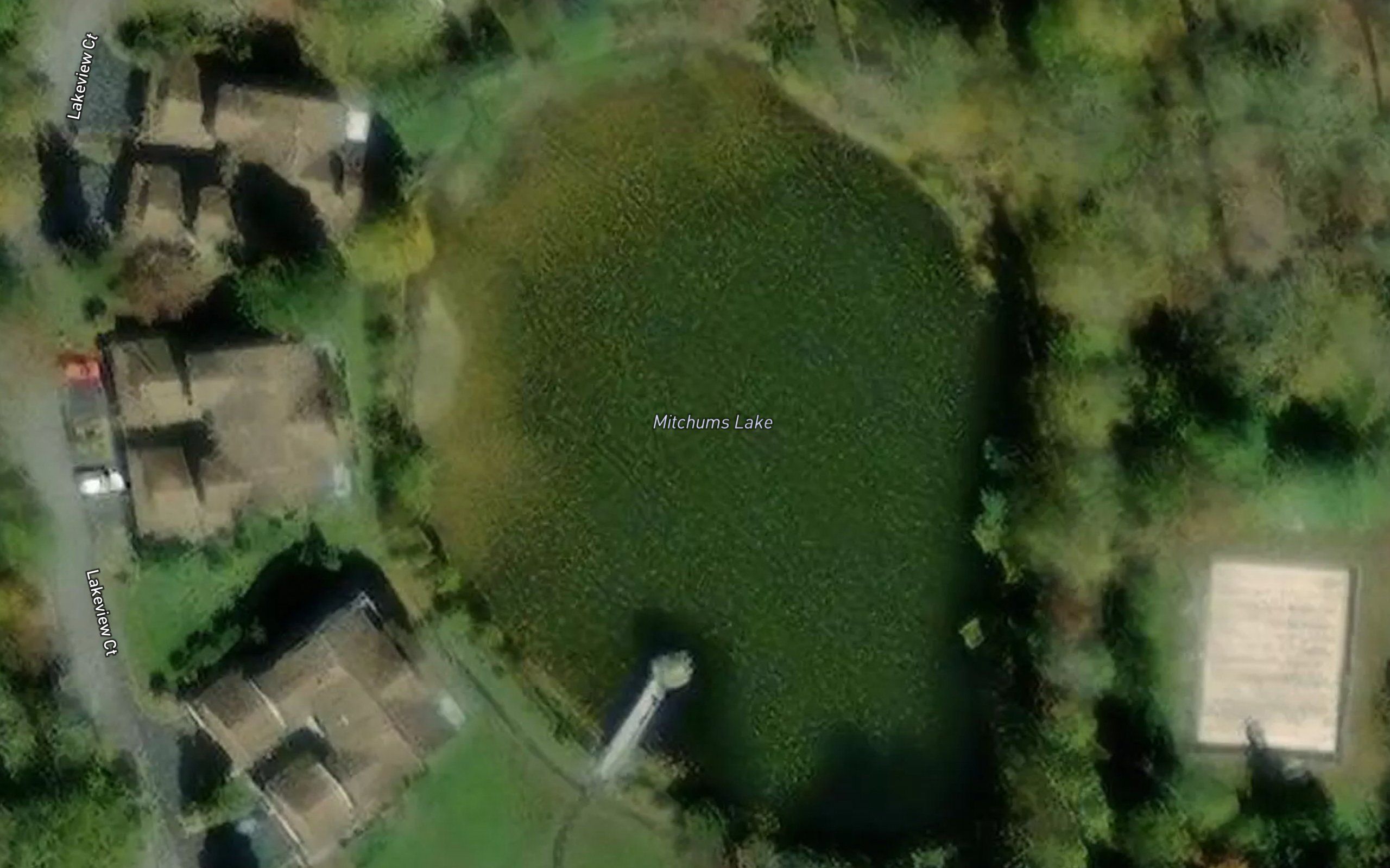 Mitchums Lake