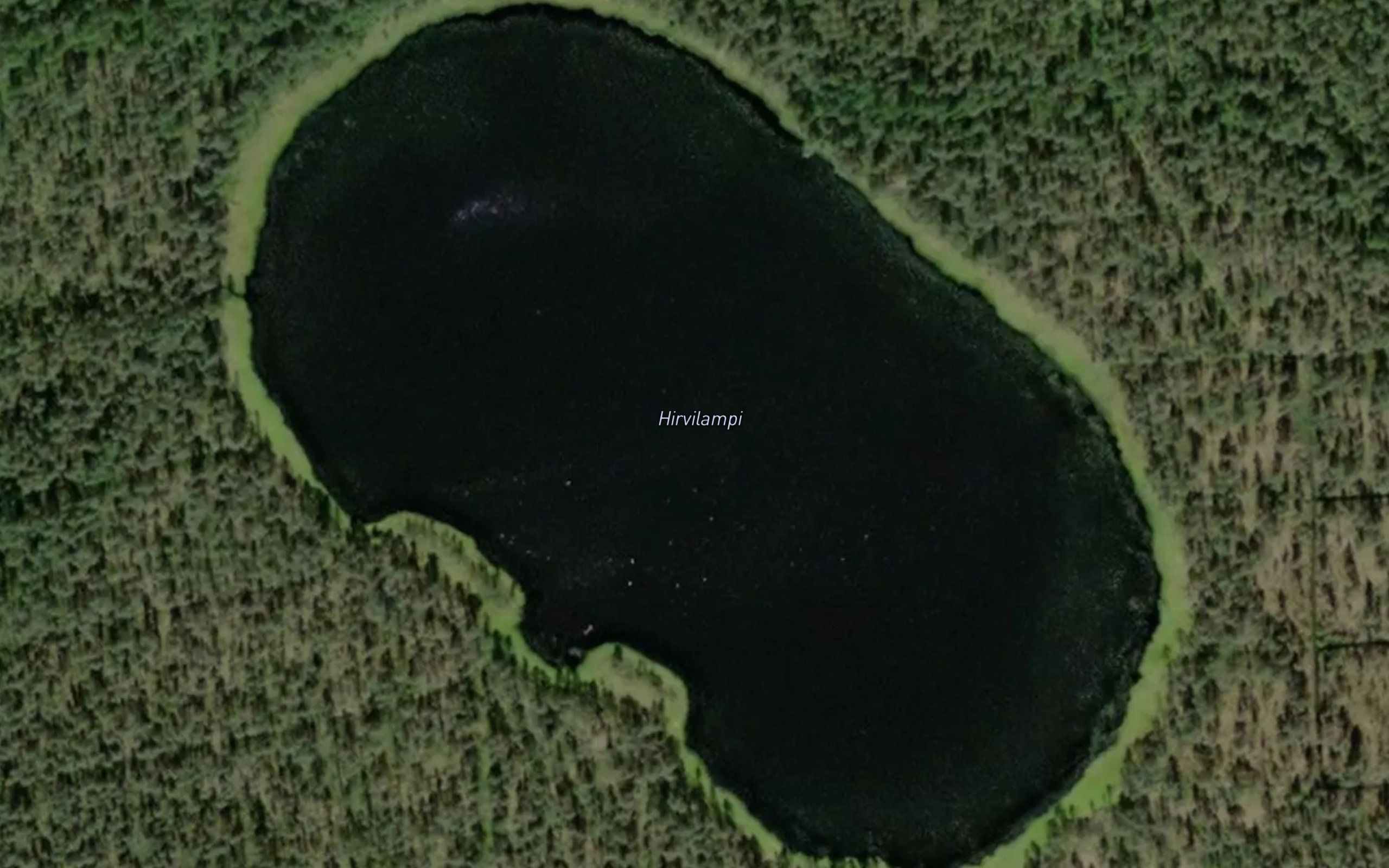 Hirvilampi