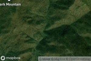 Right Fork Beetree Creek