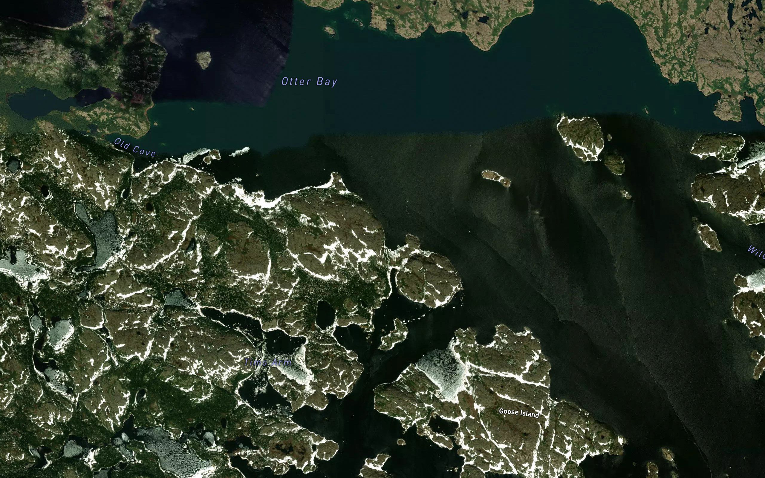Otter Bay
