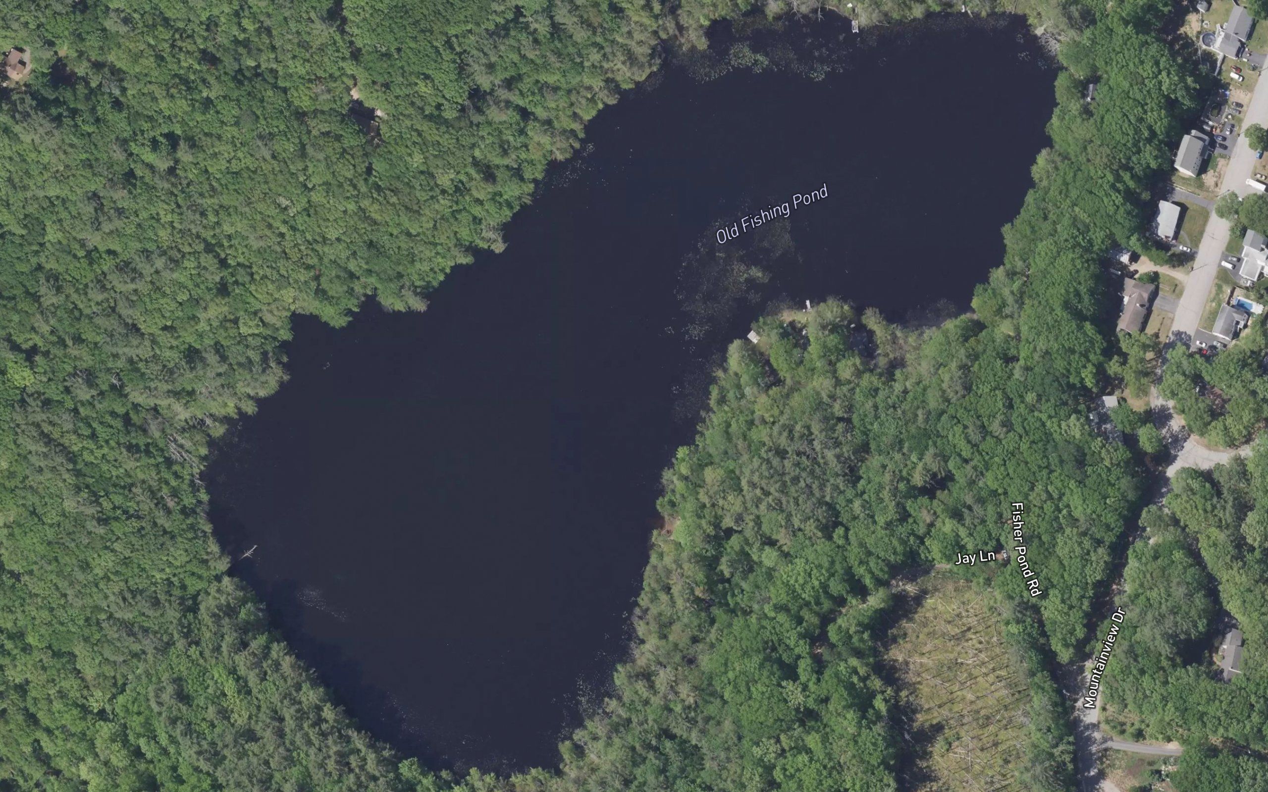 Old Fishing Pond