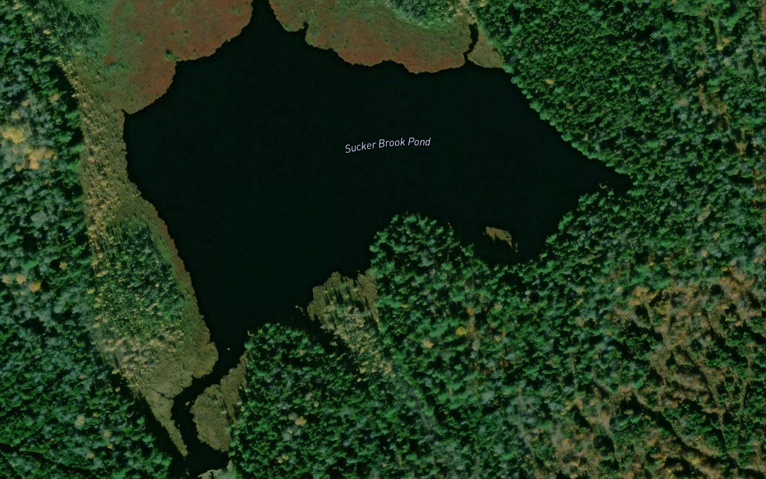 Sucker Brook Pond