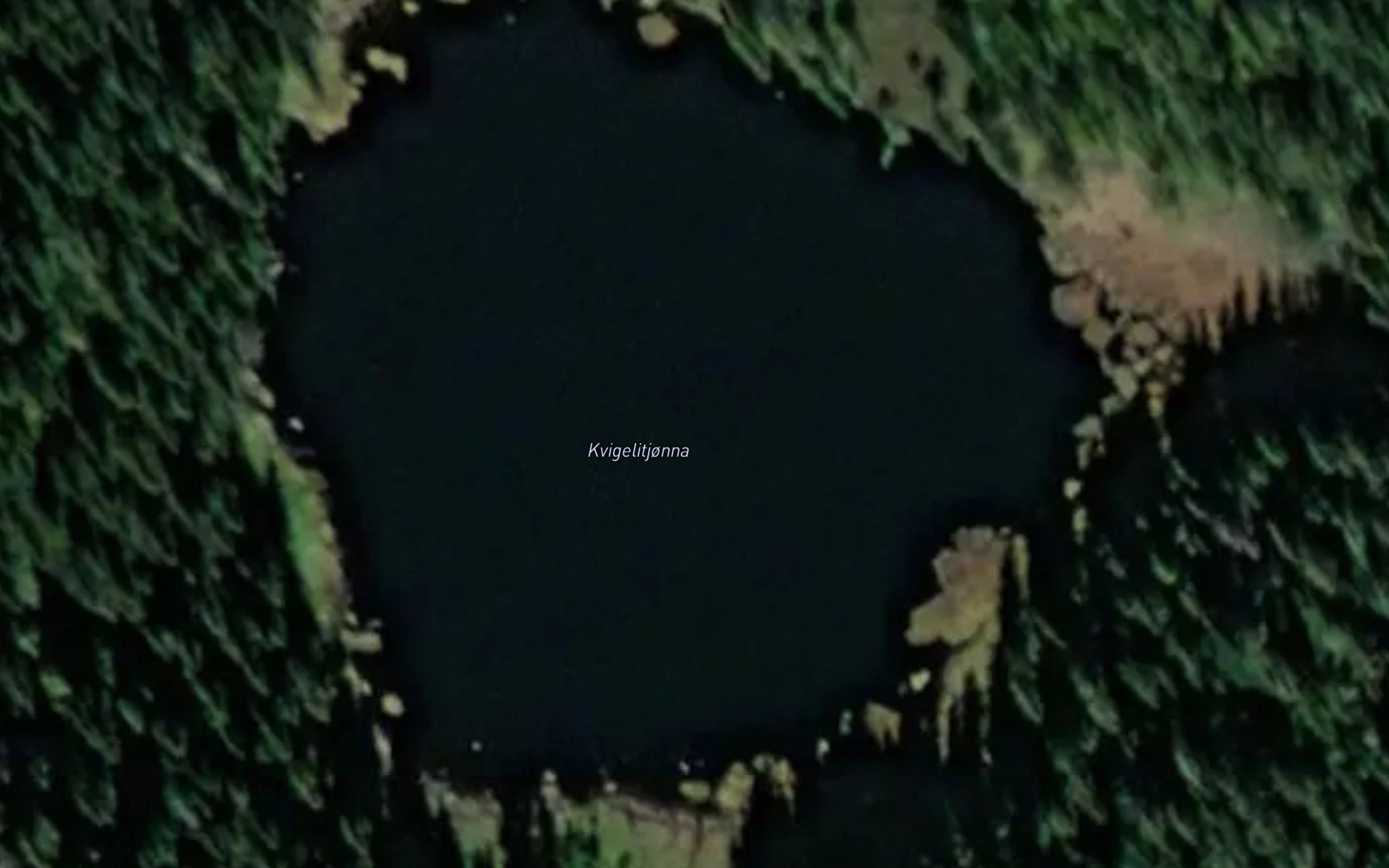 Kvigelitjorni
