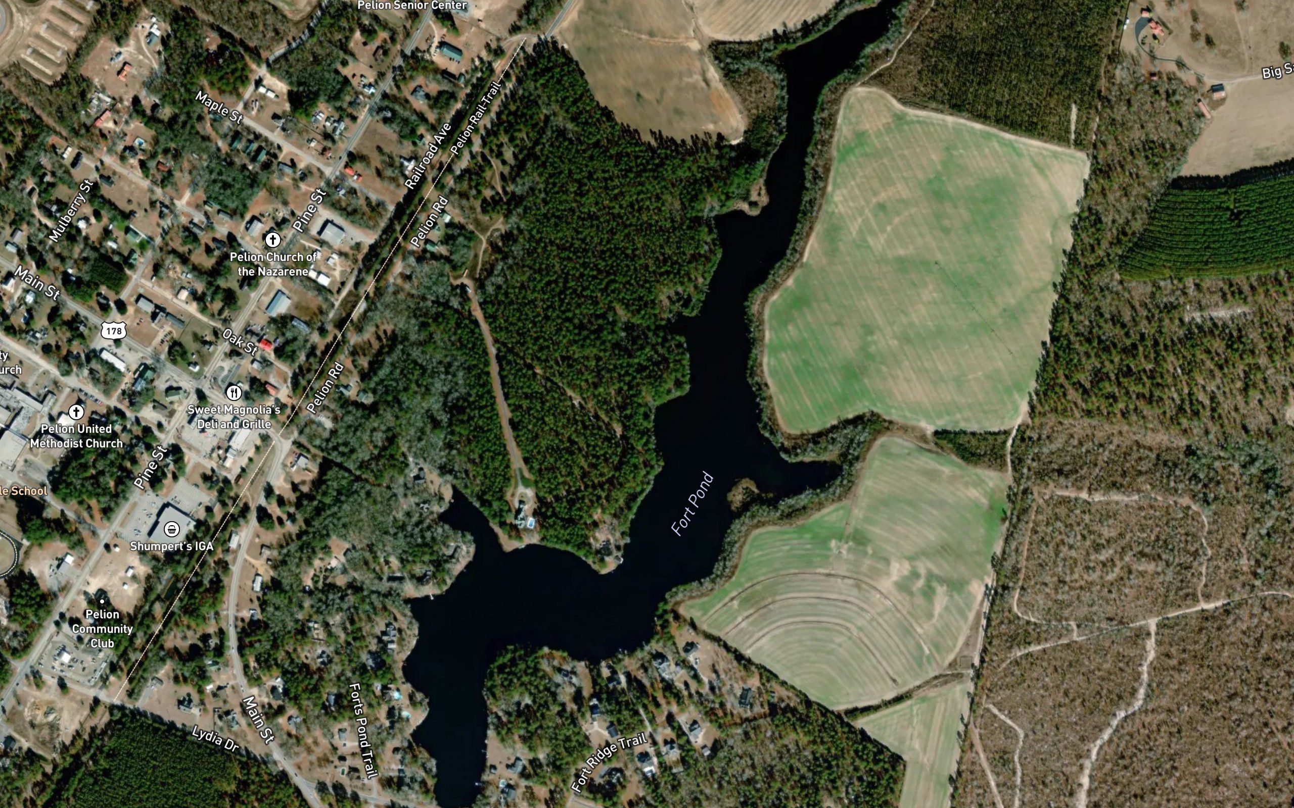 Fort Pond