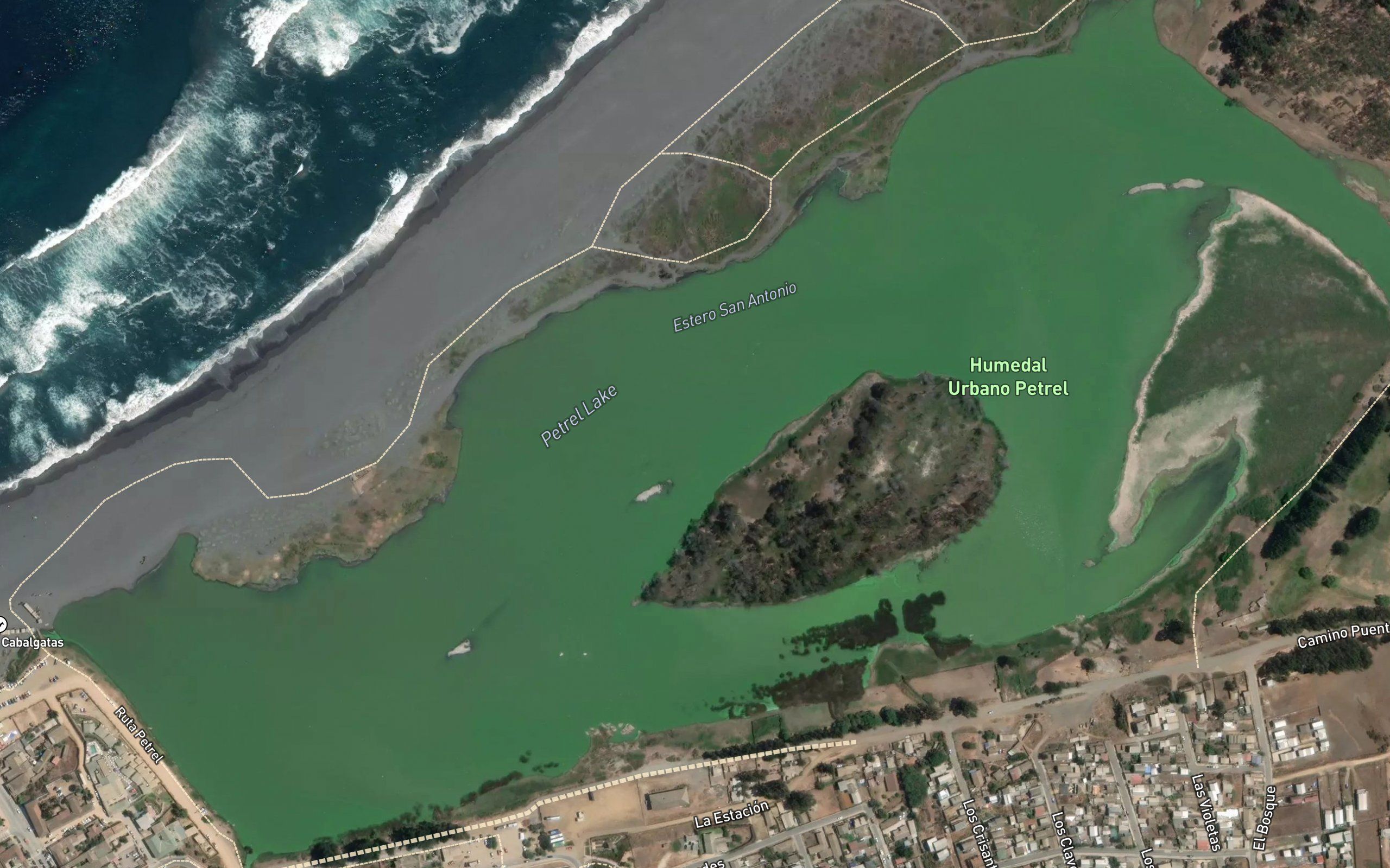 Laguna Petrel