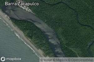 Palo Gacho