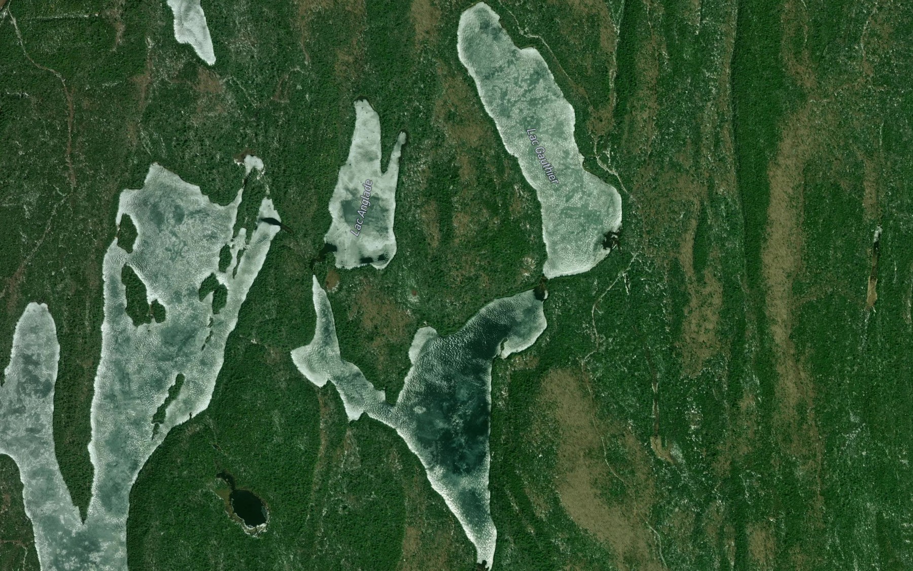 Satellite map of the Lac Gauthier