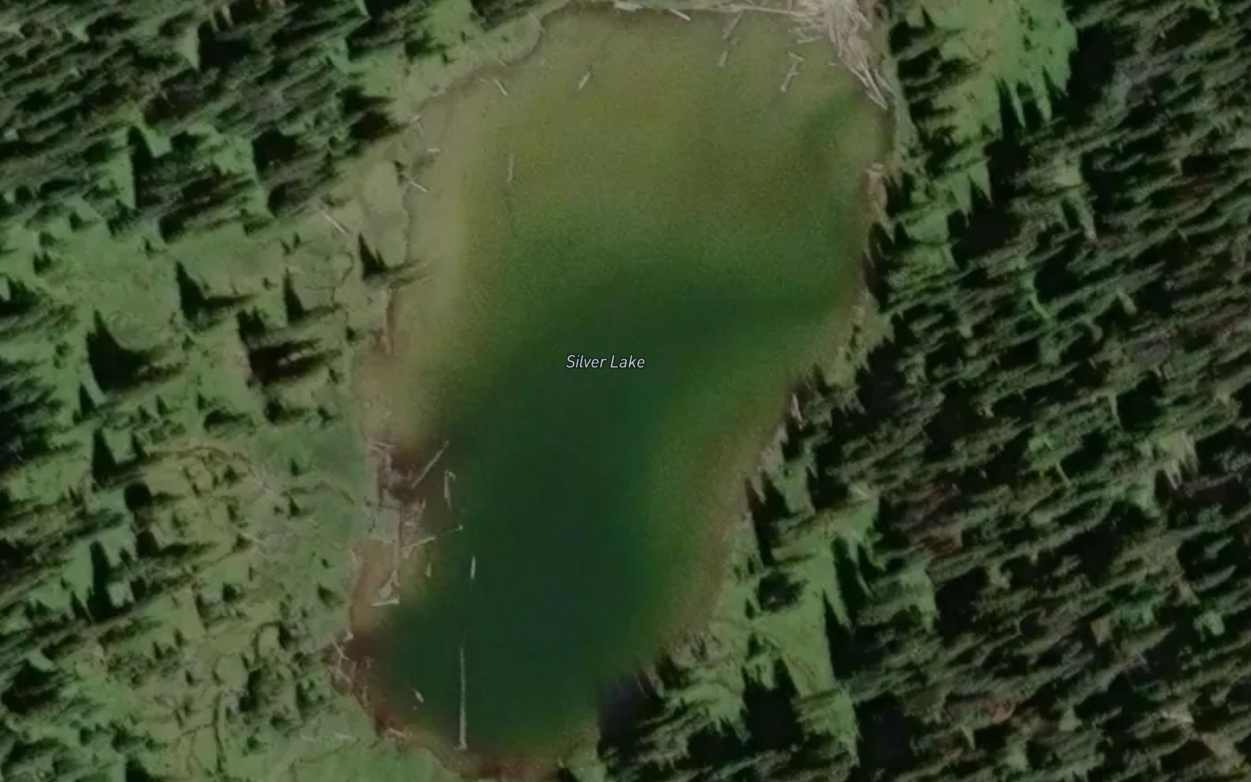 Silver Lake