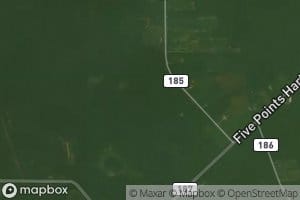 South Branch Yankee Run