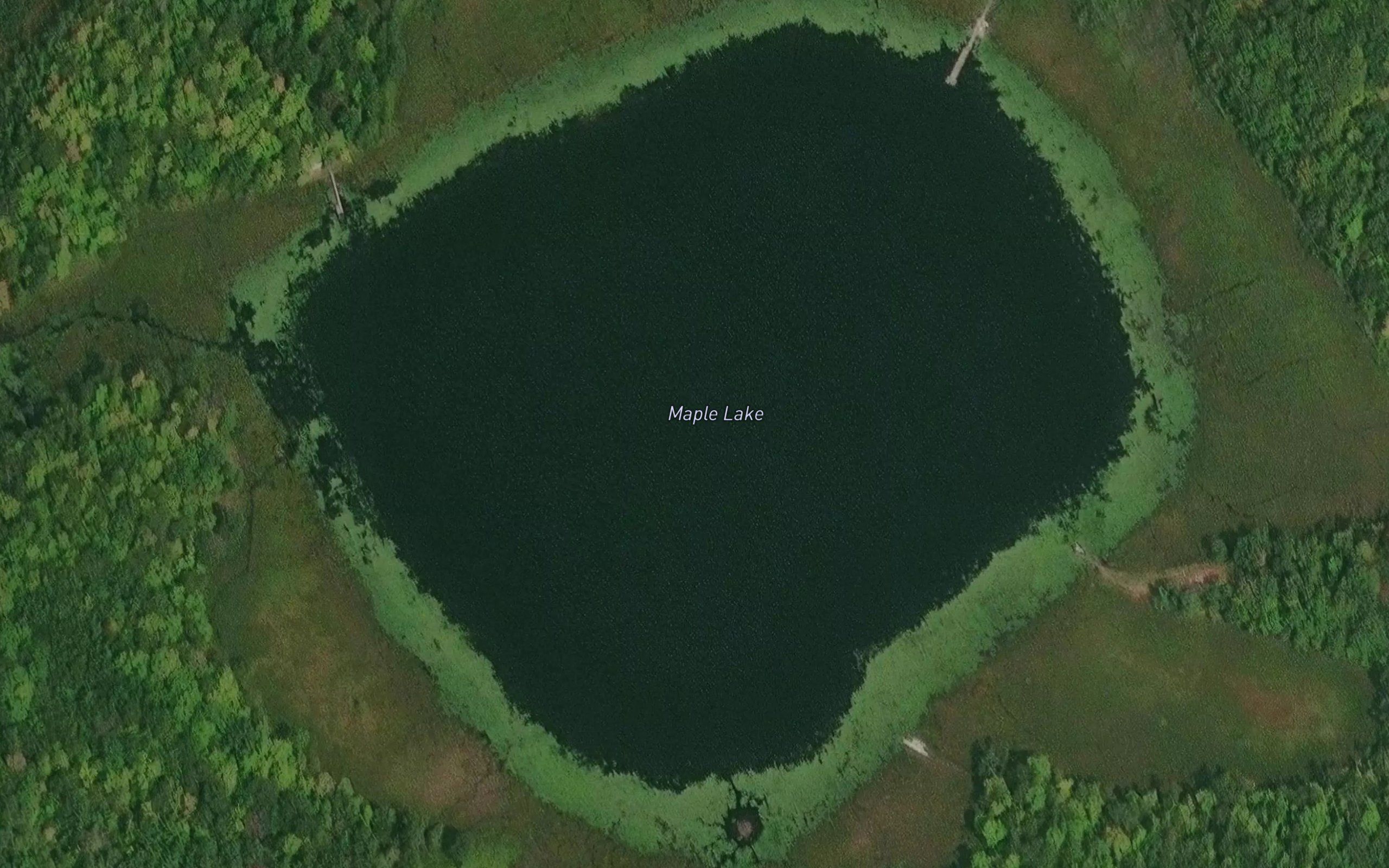 Maple Lake