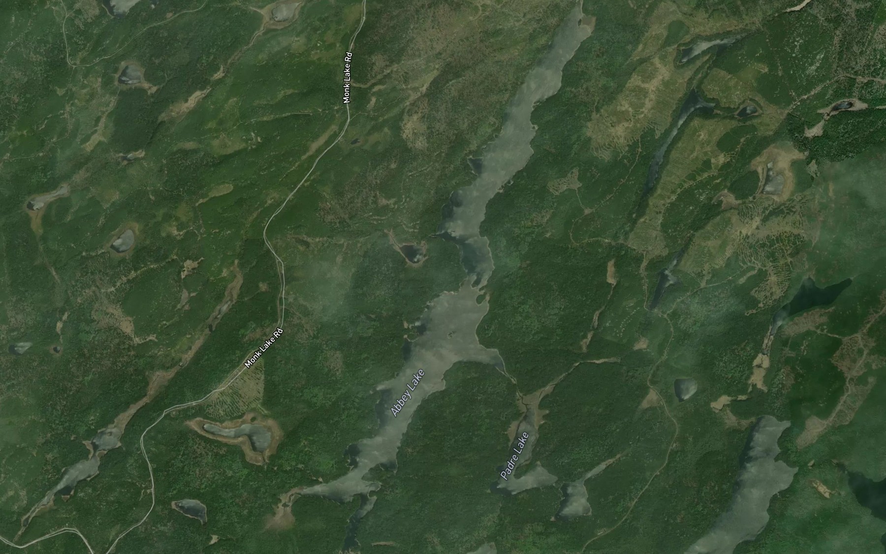Satellite map of the Abbey Lake