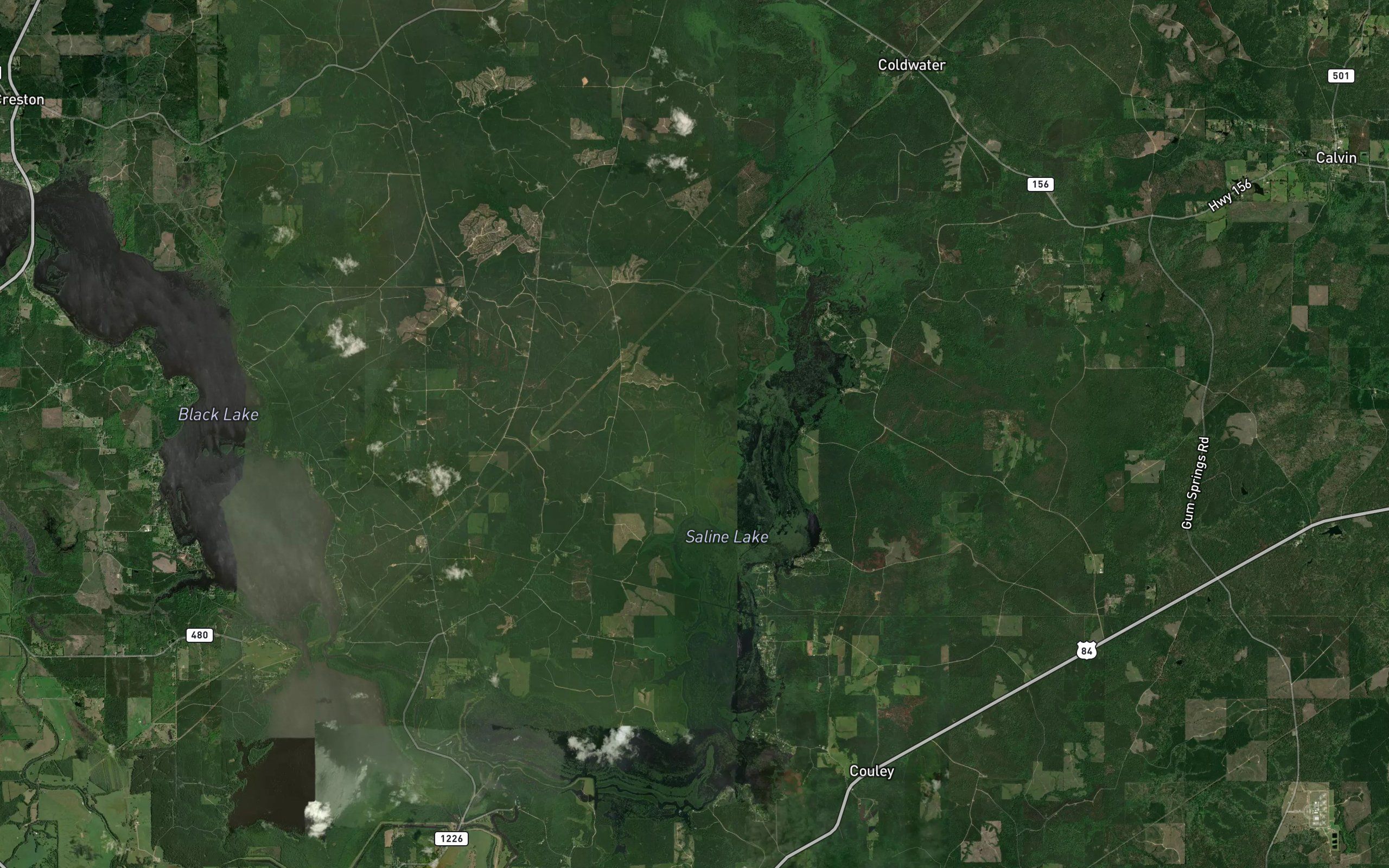 Saline Lake
