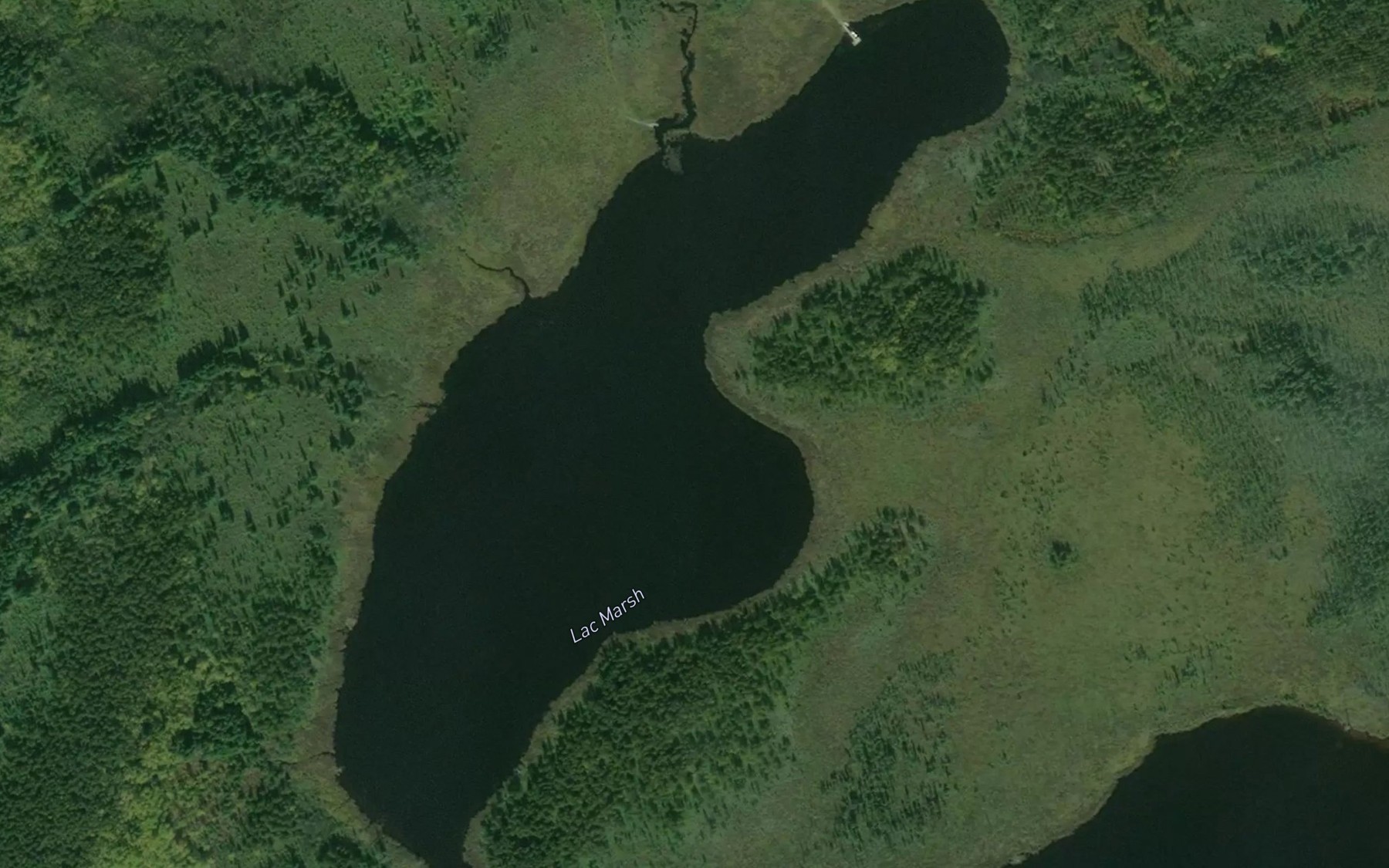 Satellite map of the Lac Marsh