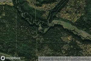 Moss Creek