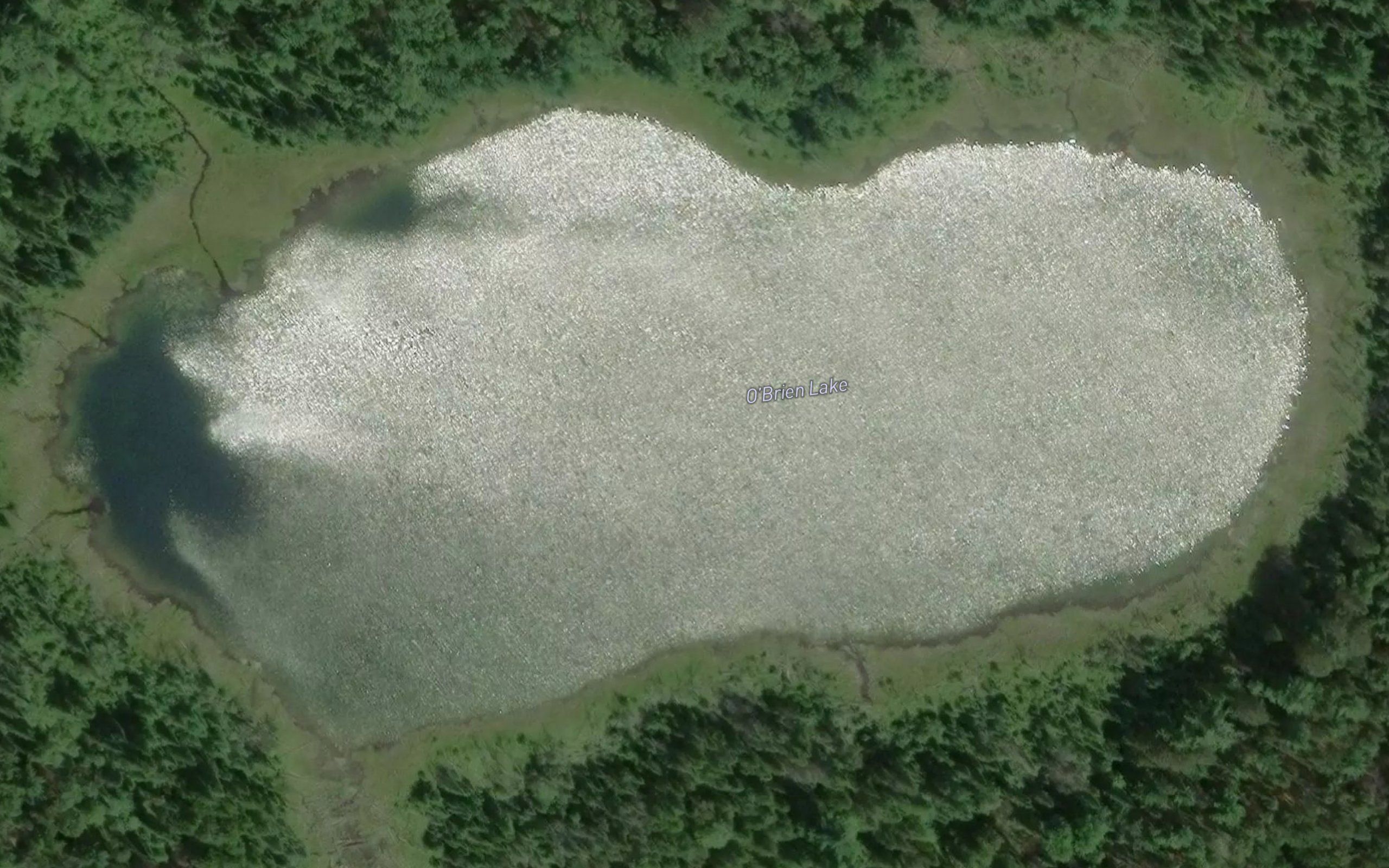 O'Brien Lake