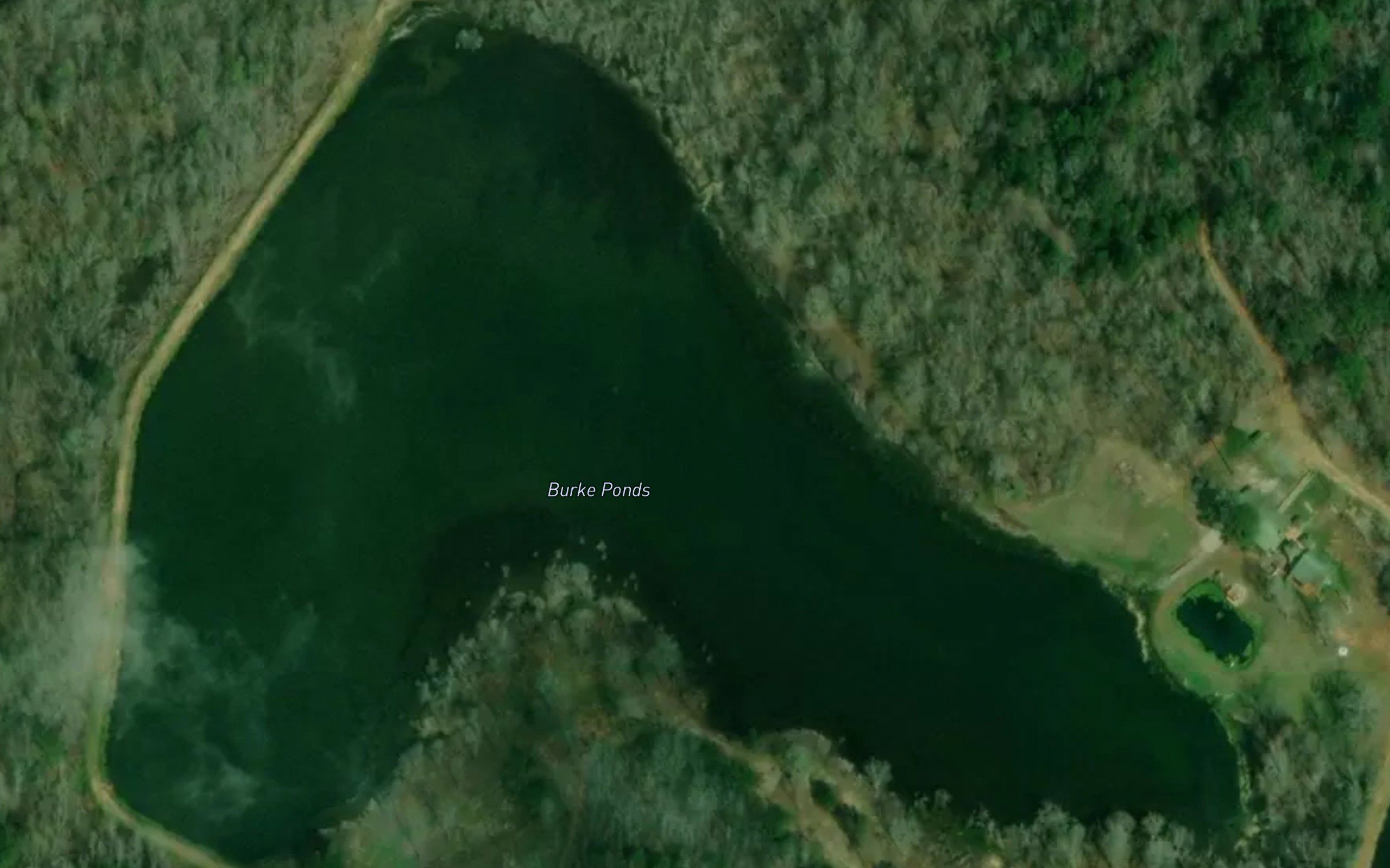 Burke Ponds