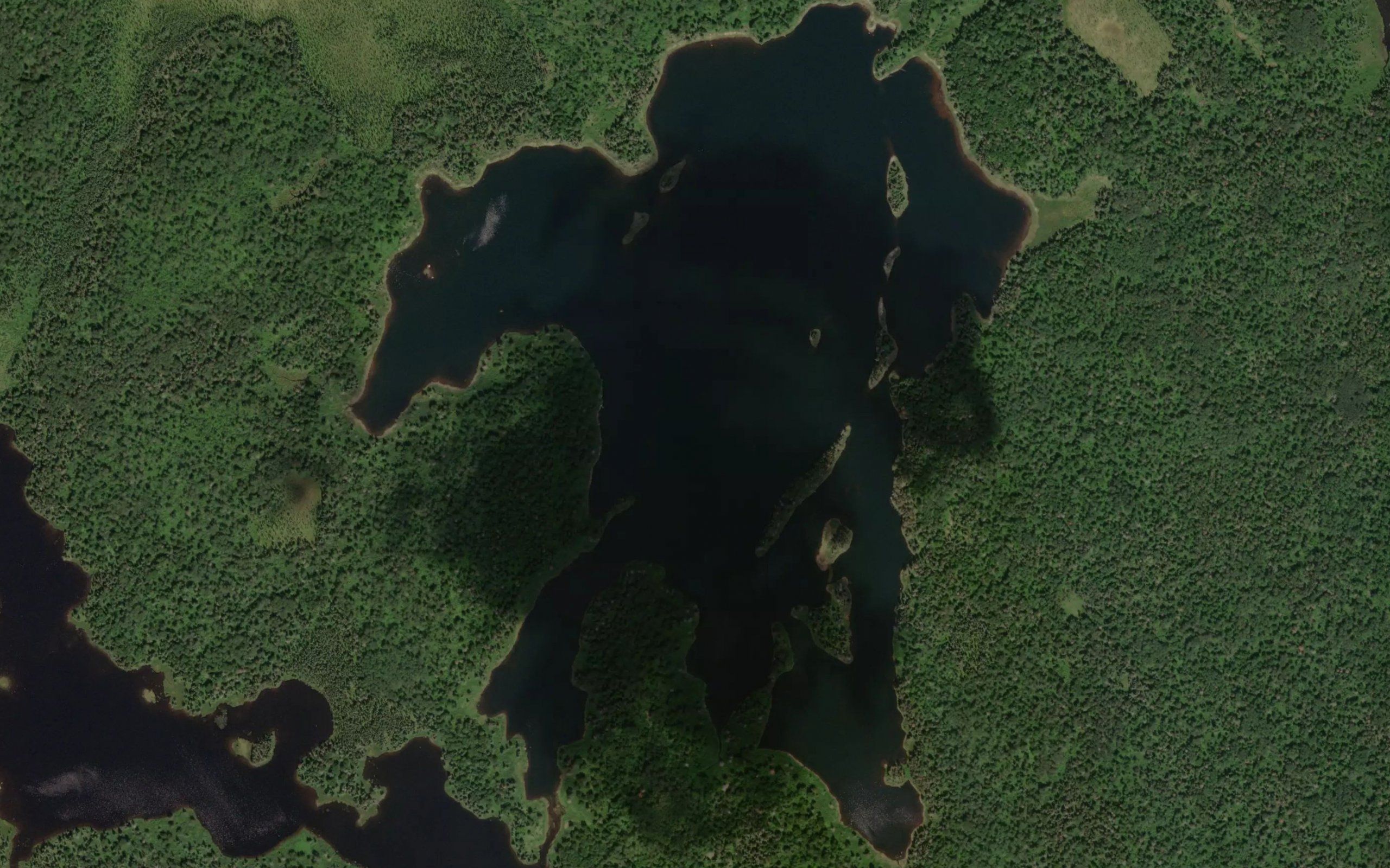 Little McCausland Lake