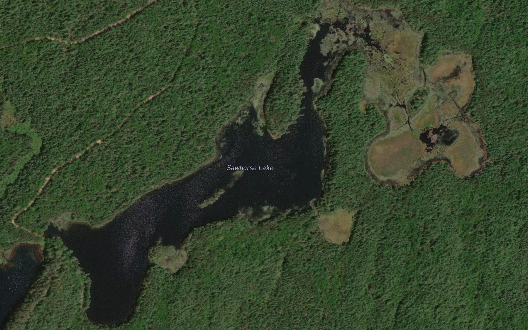 Satellite map of the Sawhorse Lake