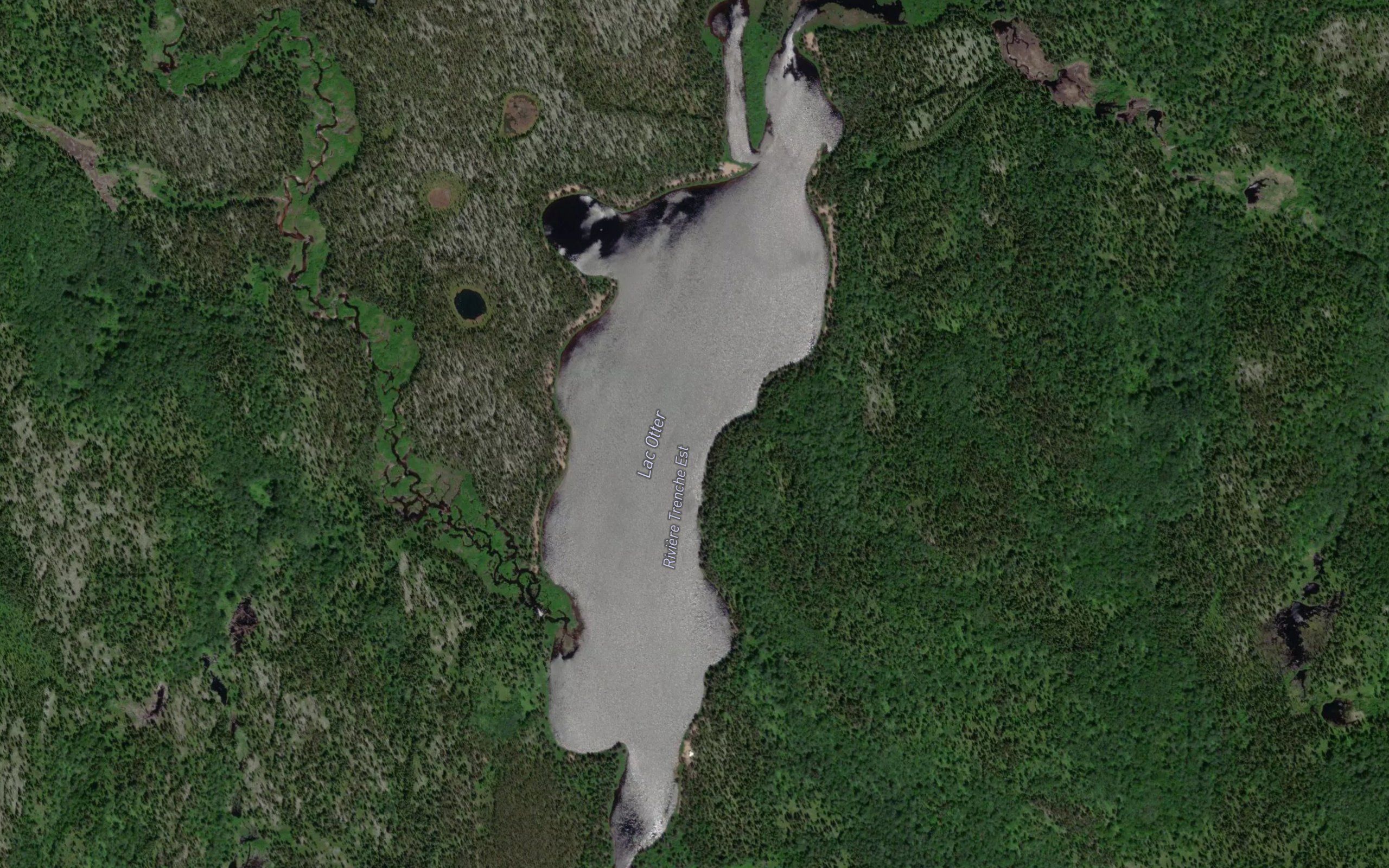 Lac Otter