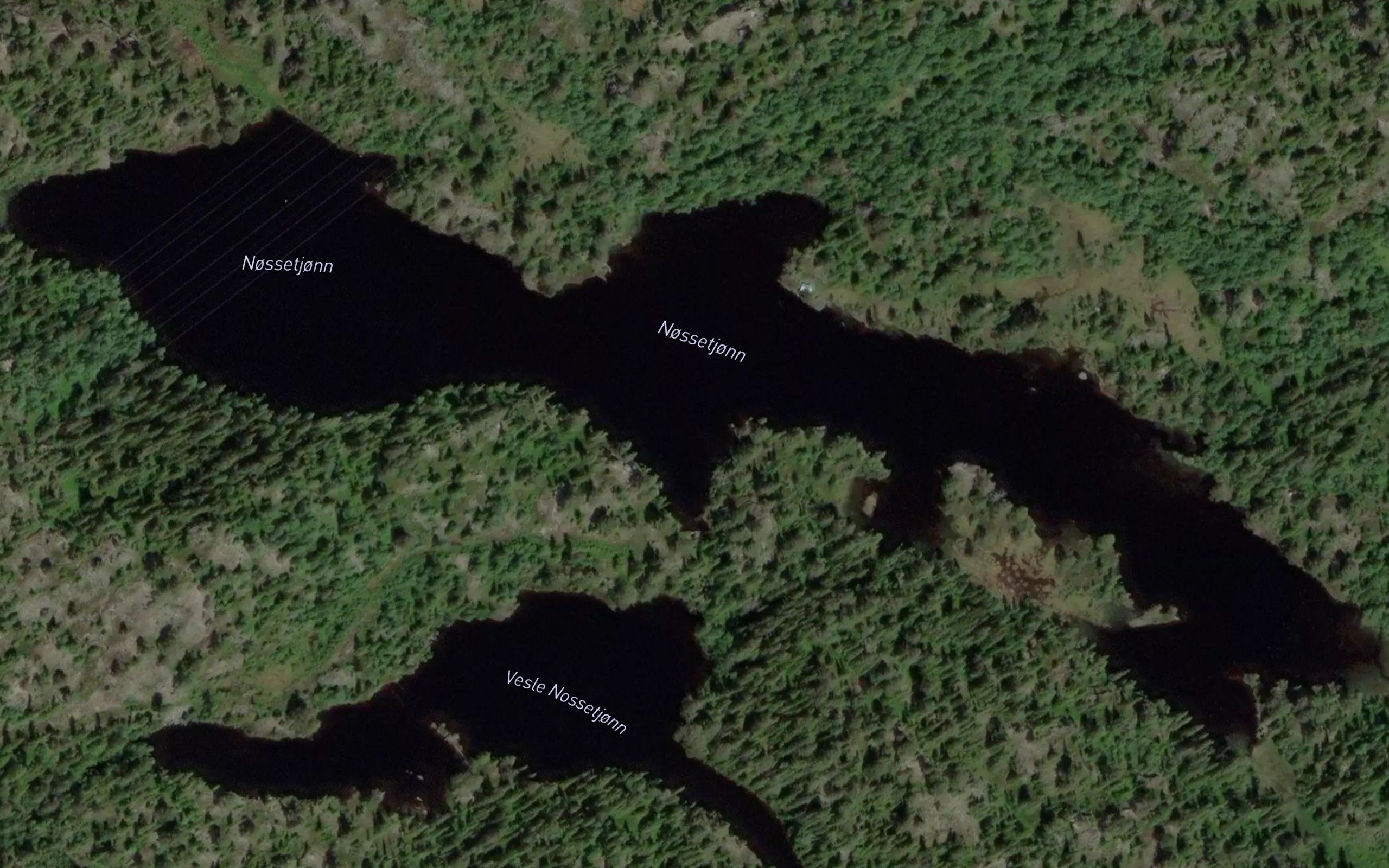 Nossetjorn