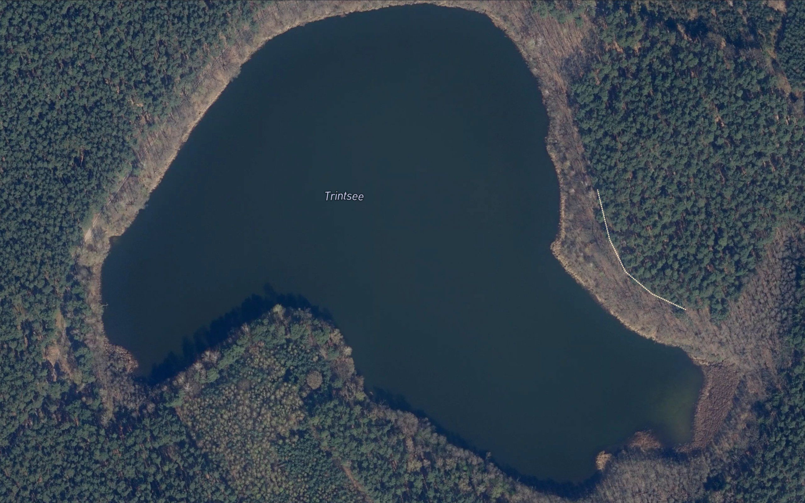 Trintsee