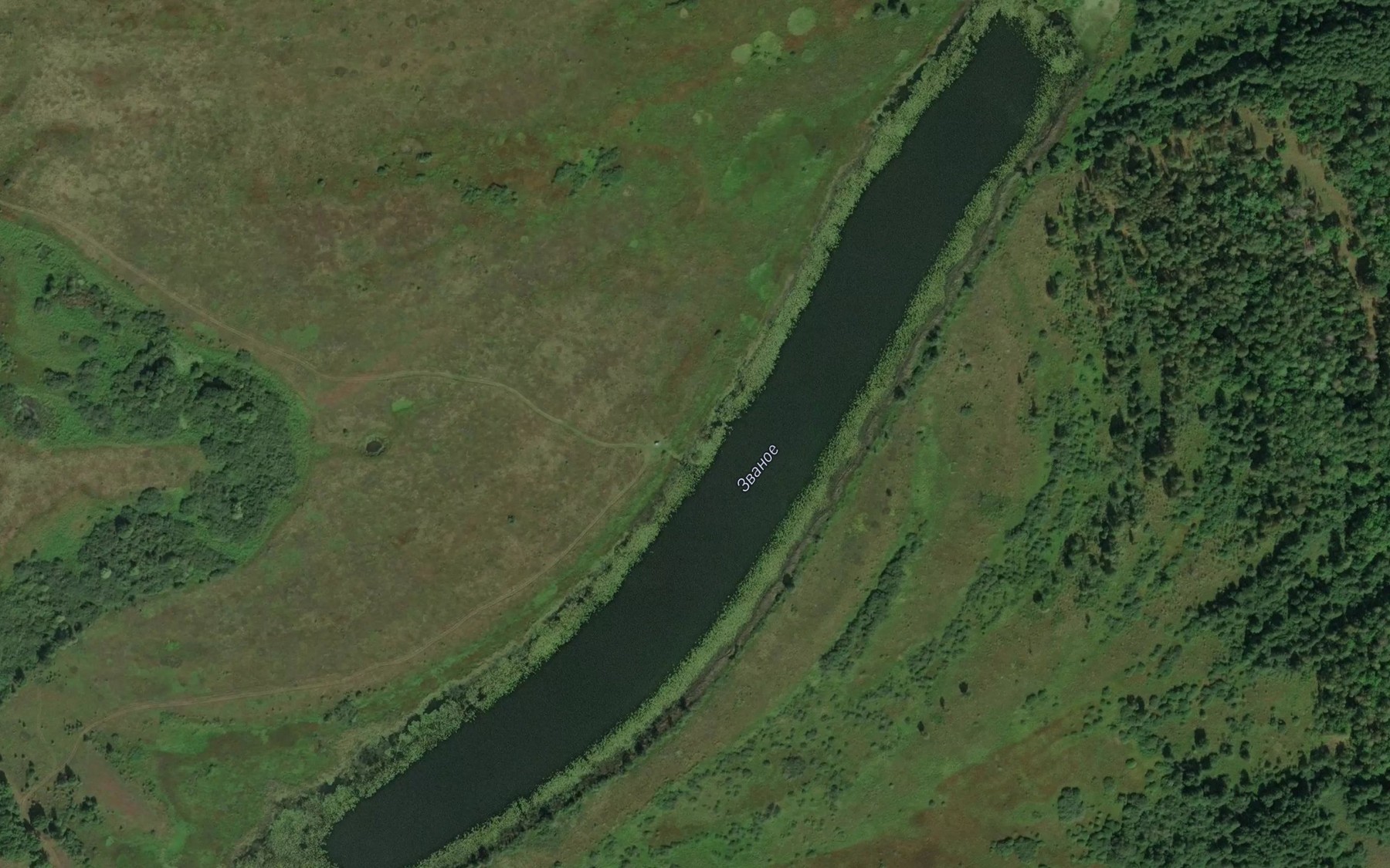 Satellite map of the Ozero Zvanoye