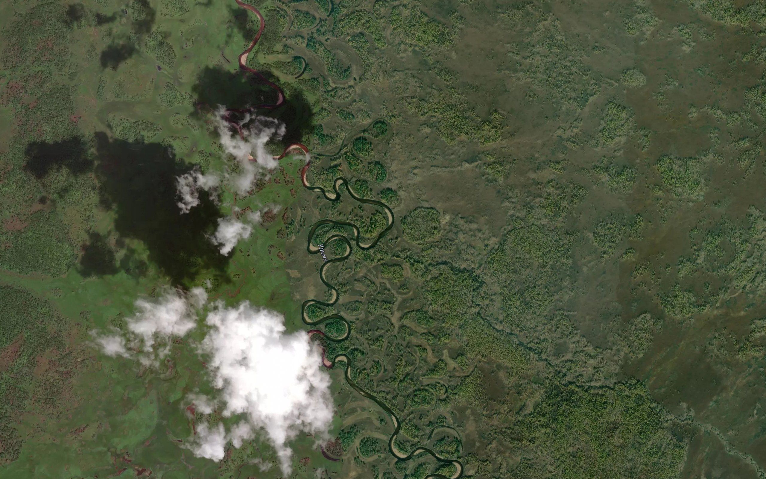 Tikhiy