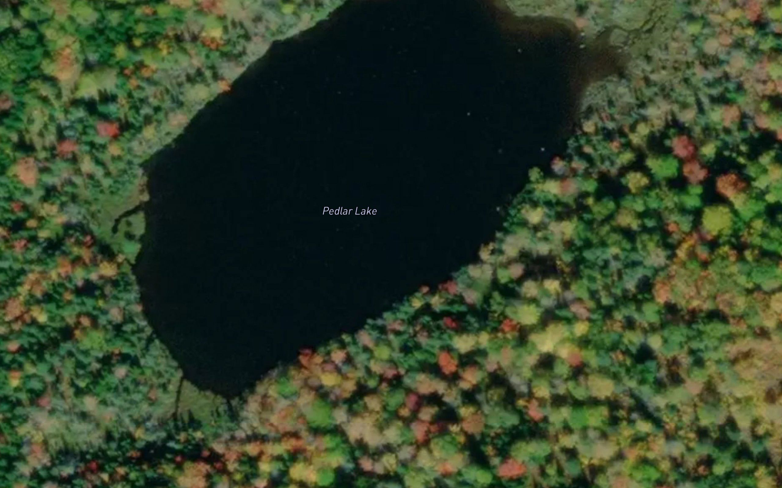 Pedlar Lake