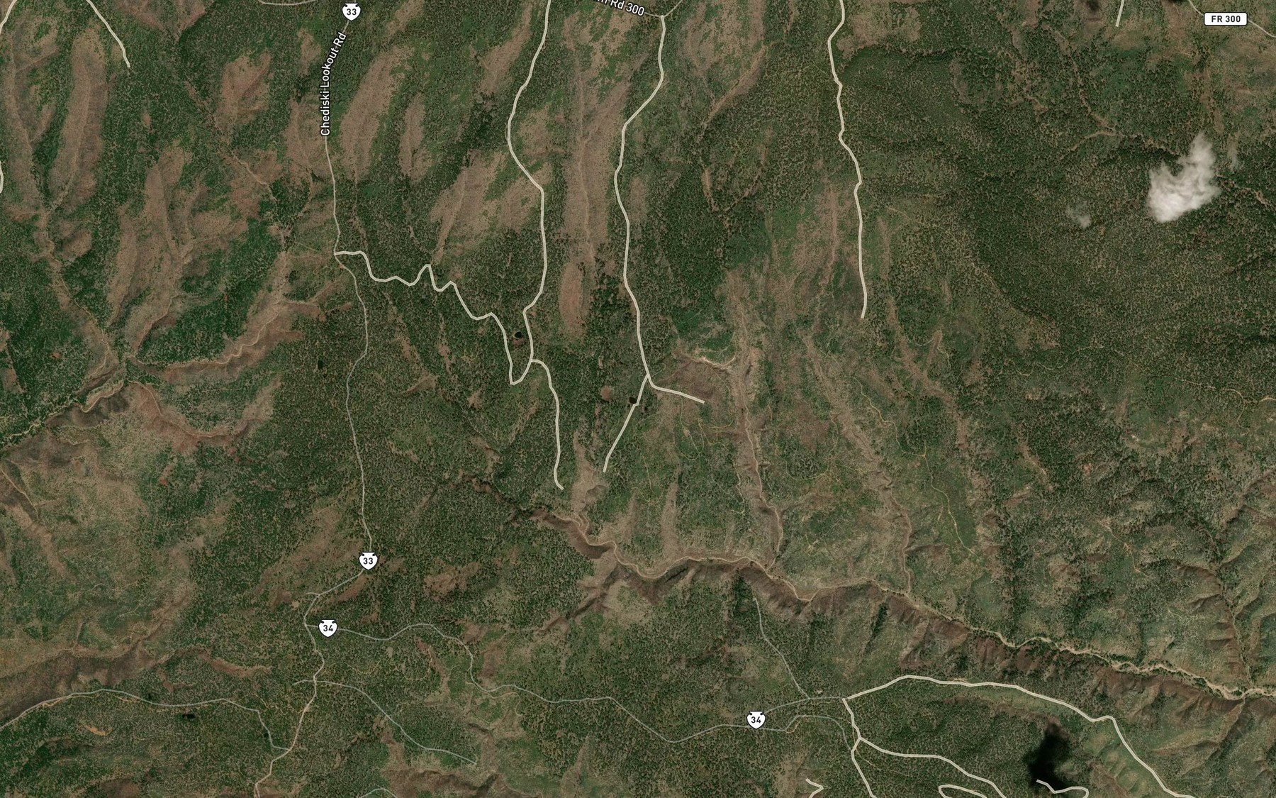 Satellite map of the Twin Lakes