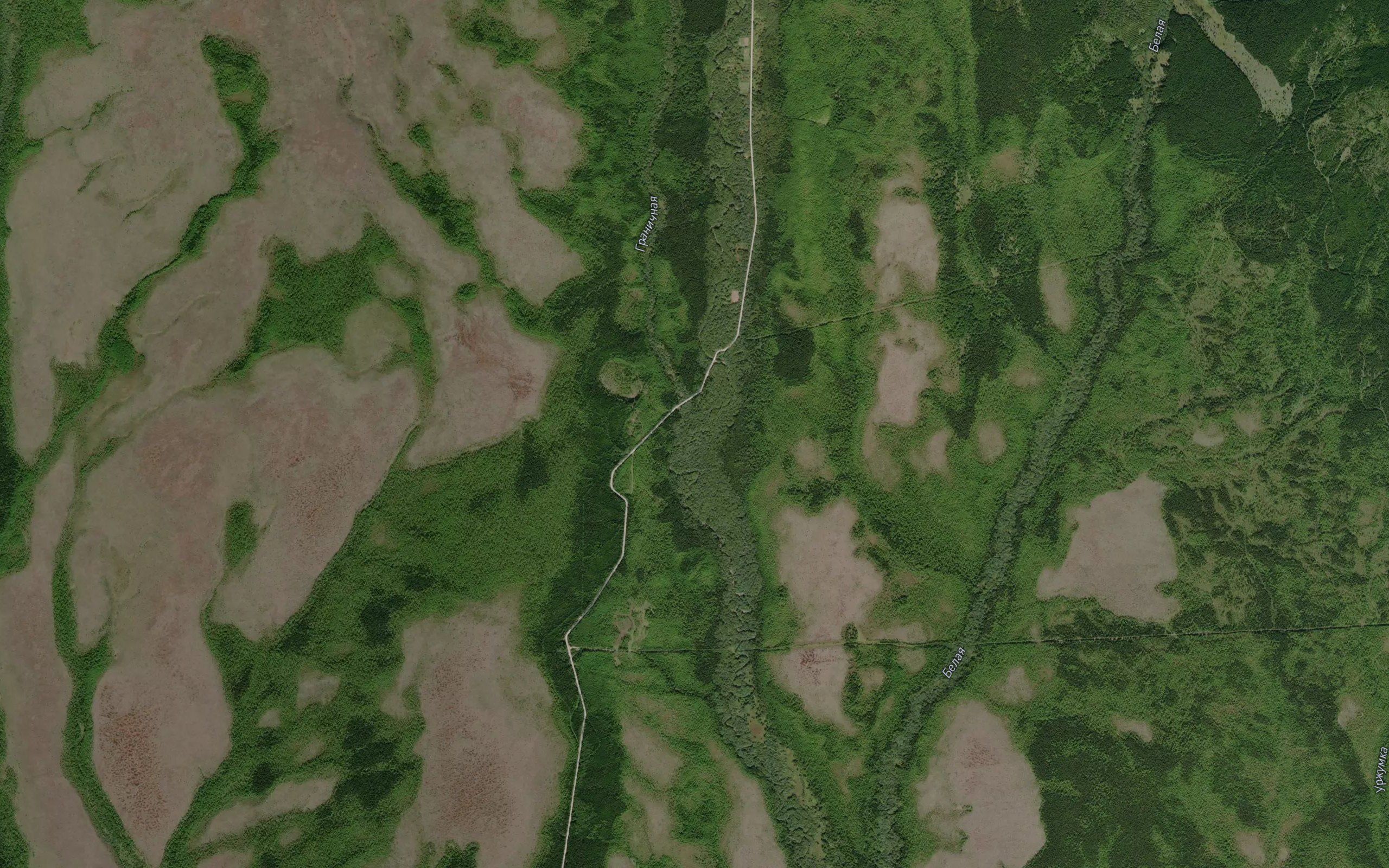 Chapayevka