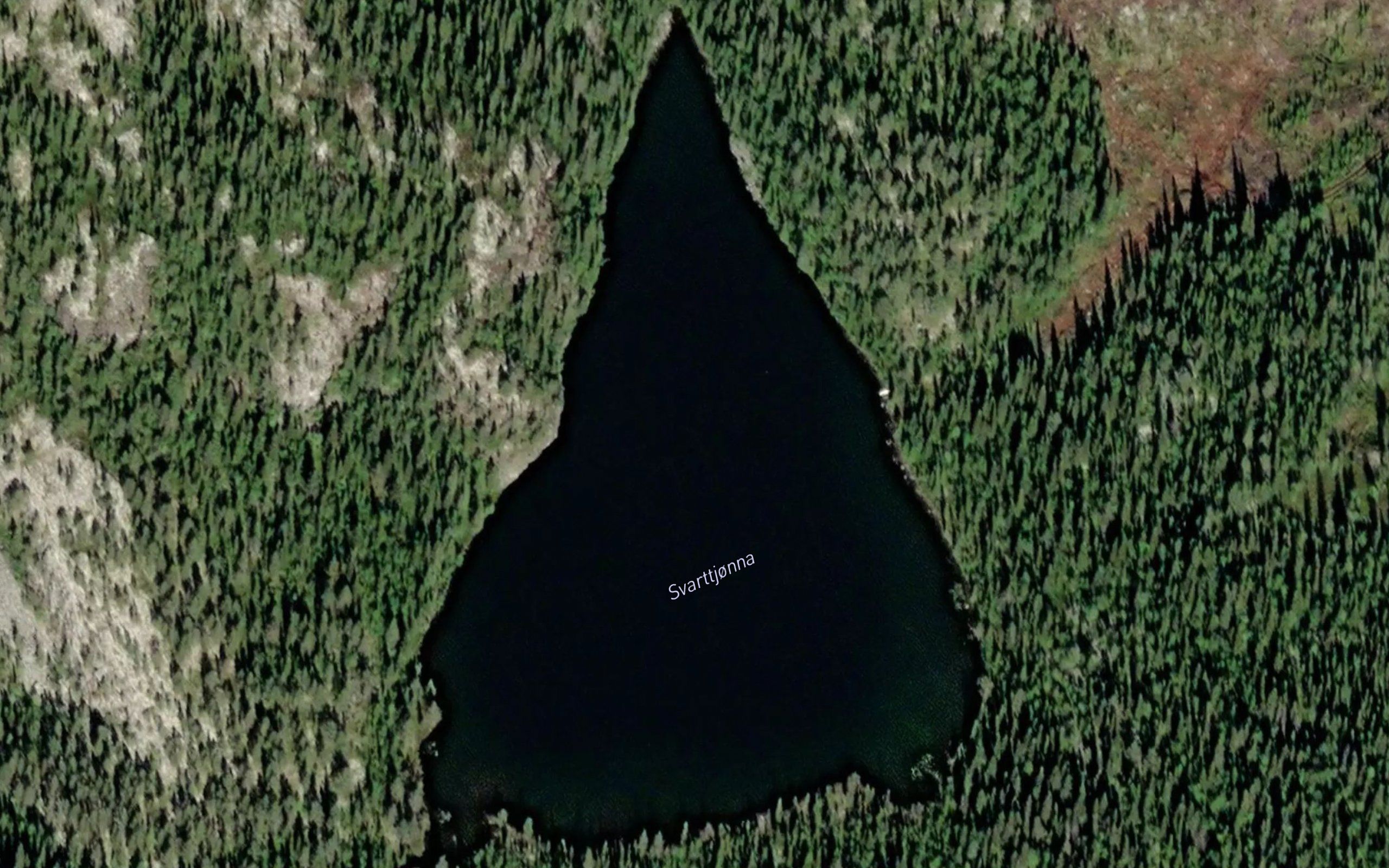 Svarttjorna