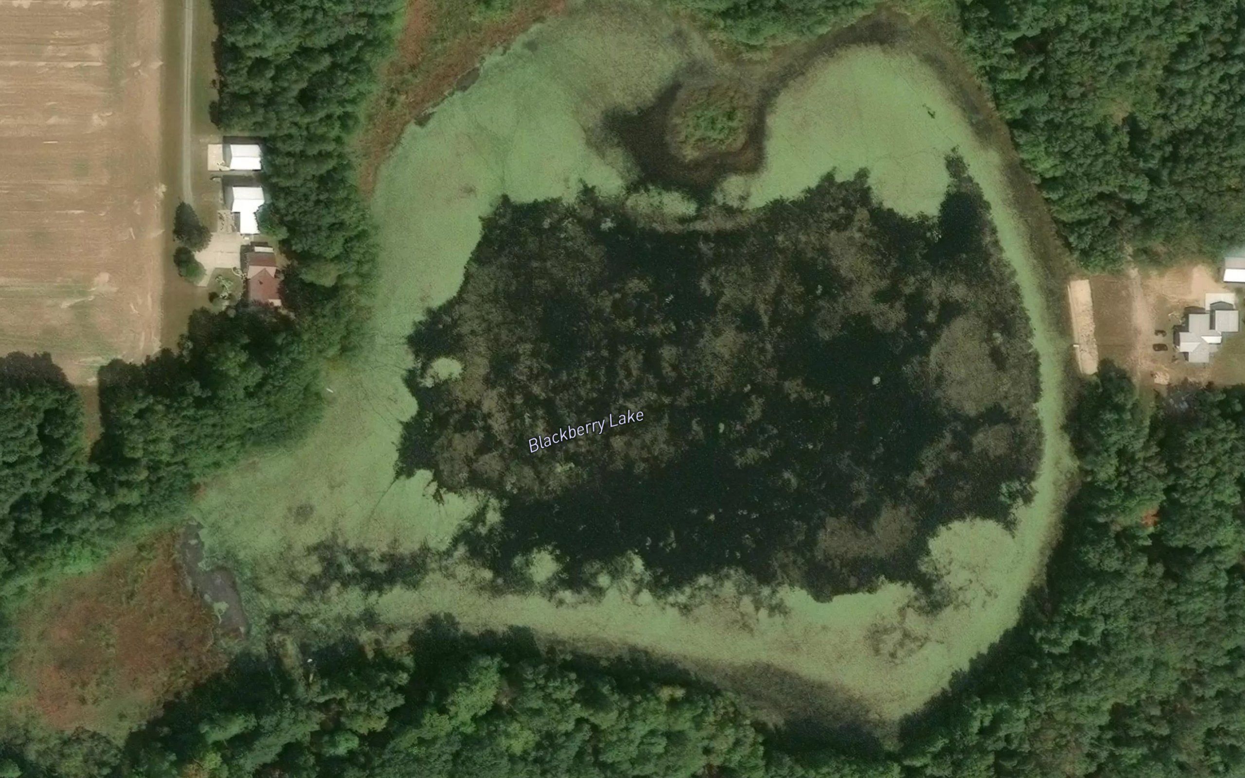 Blackberry Lake