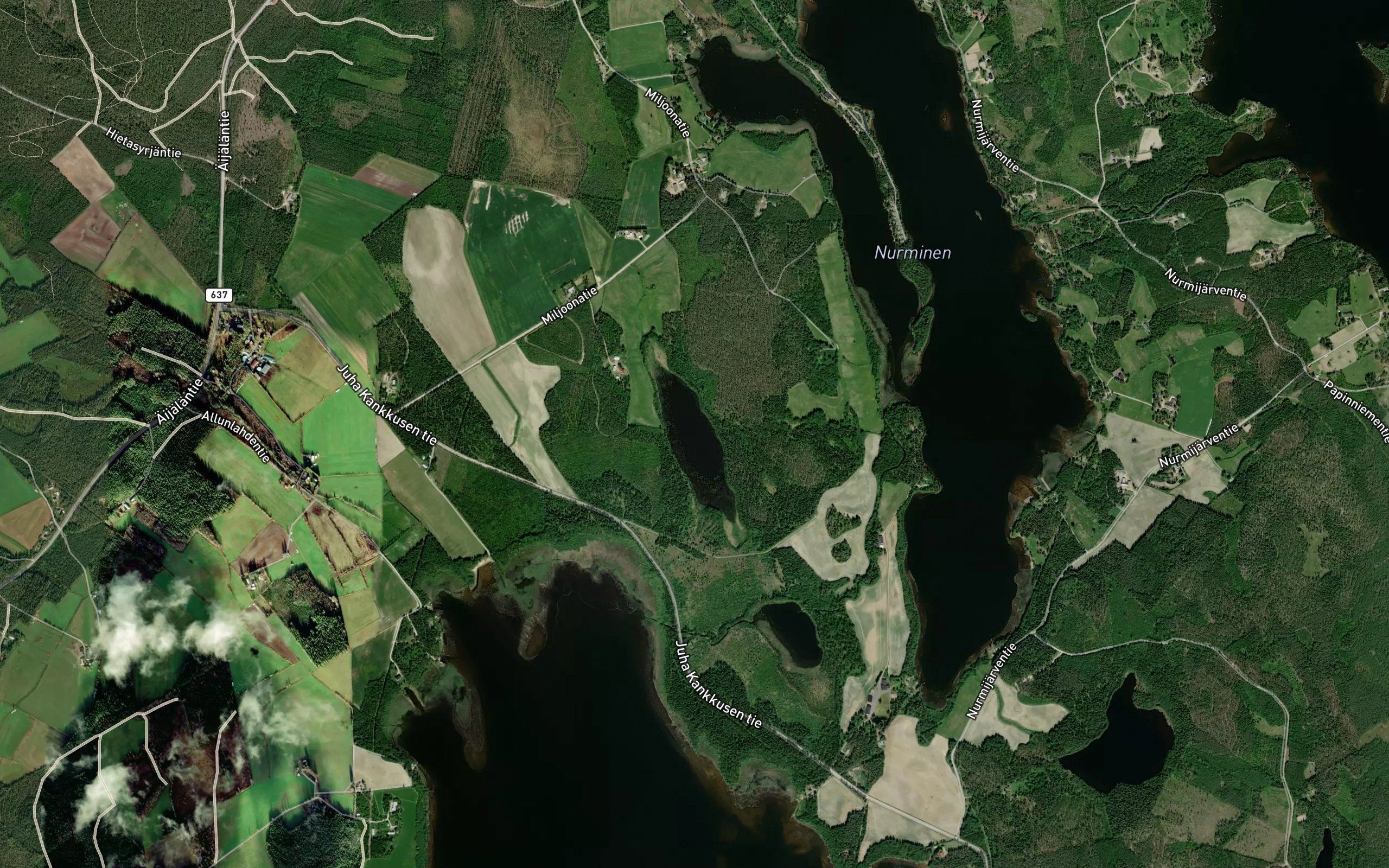 Petkelinen