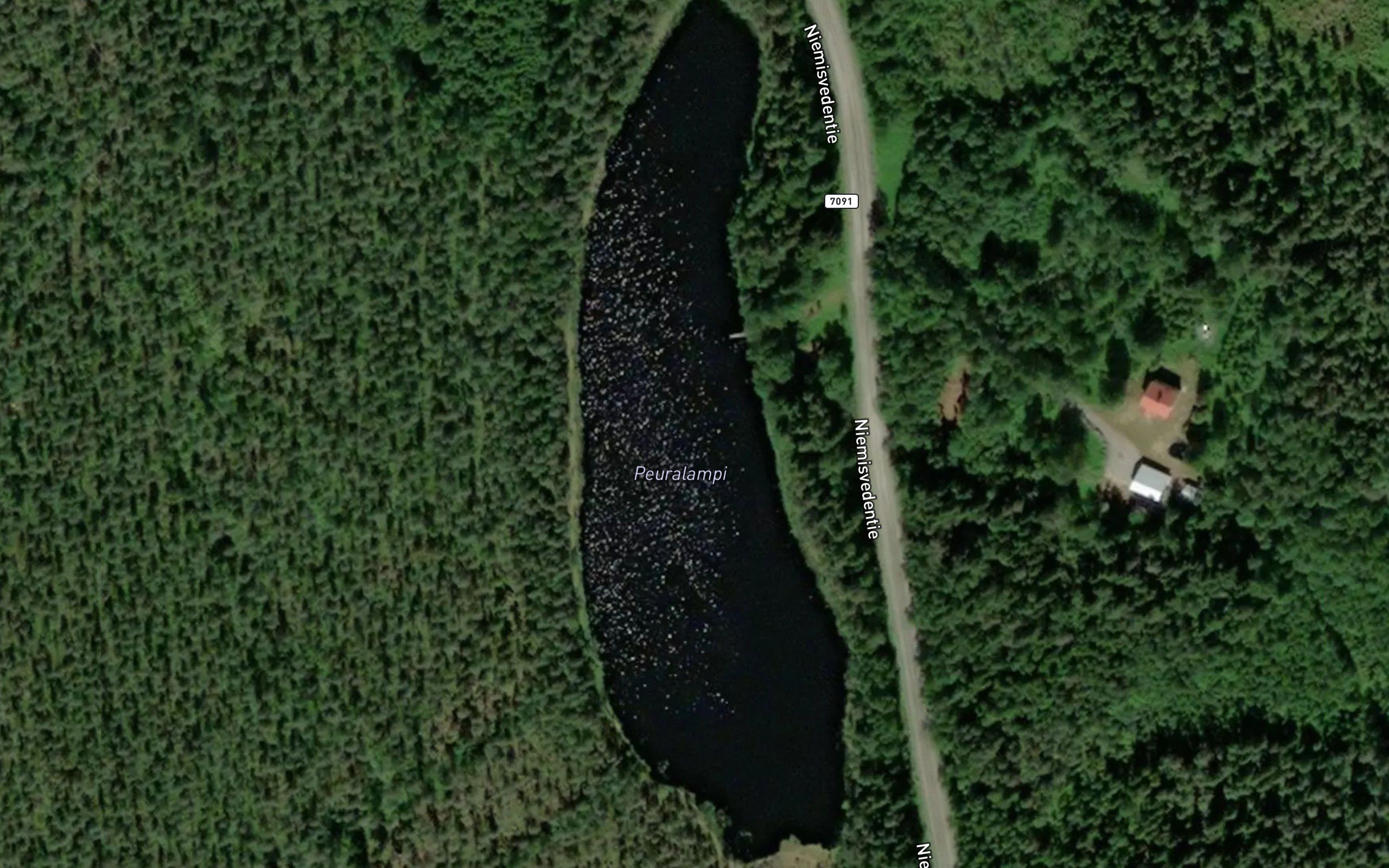 Peuralampi