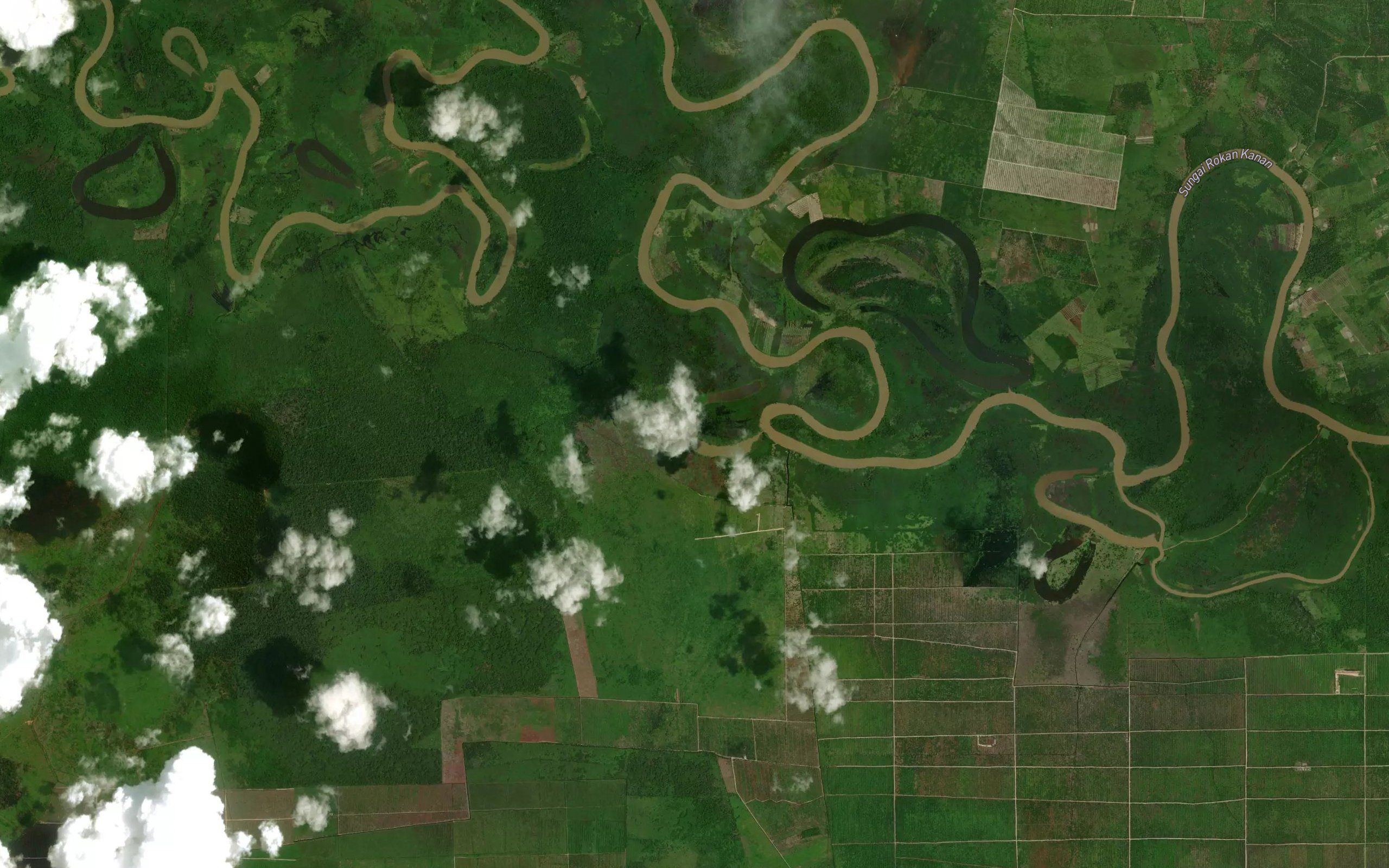 Danau Rimau