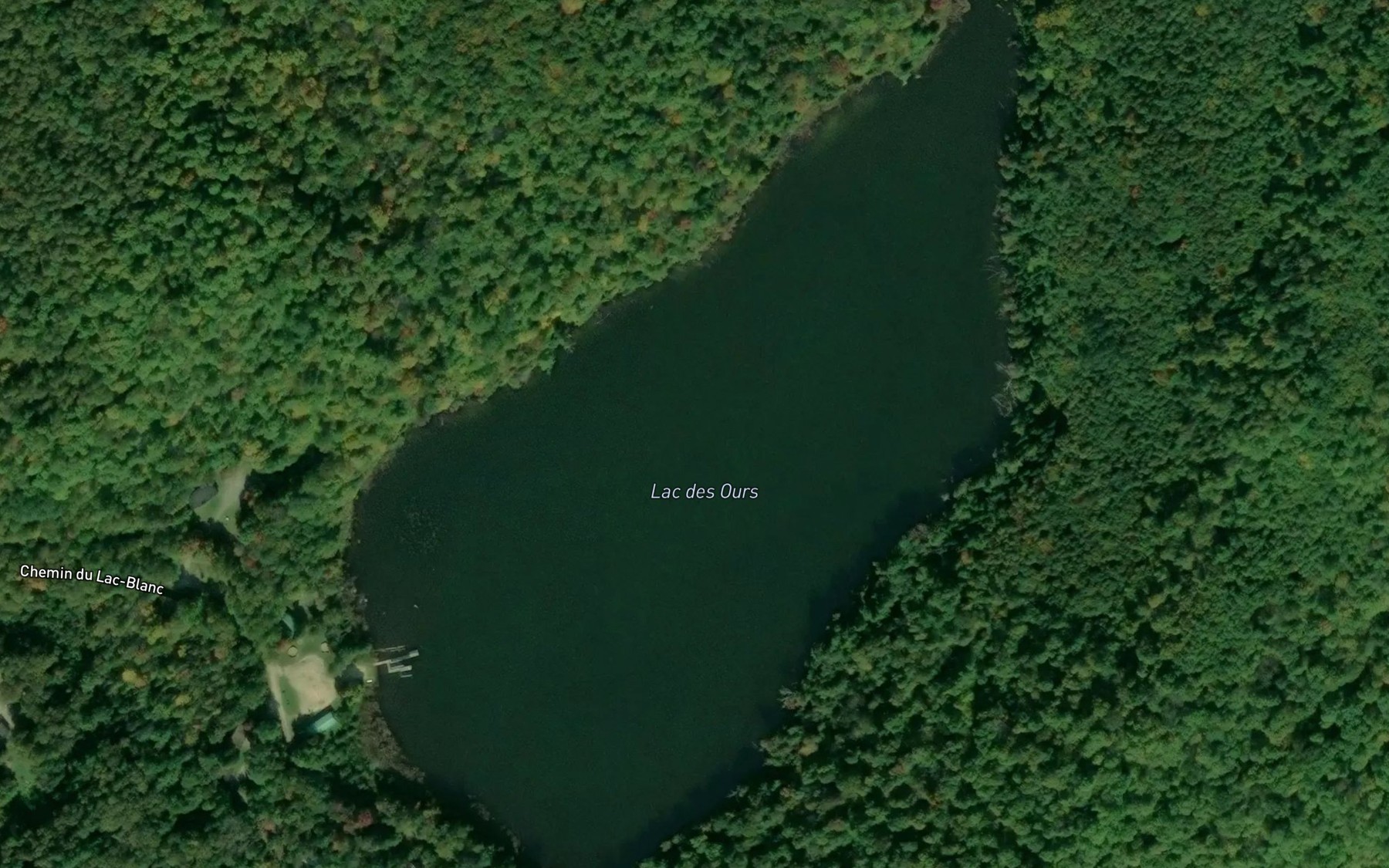 Satellite map of the Lac des Ours